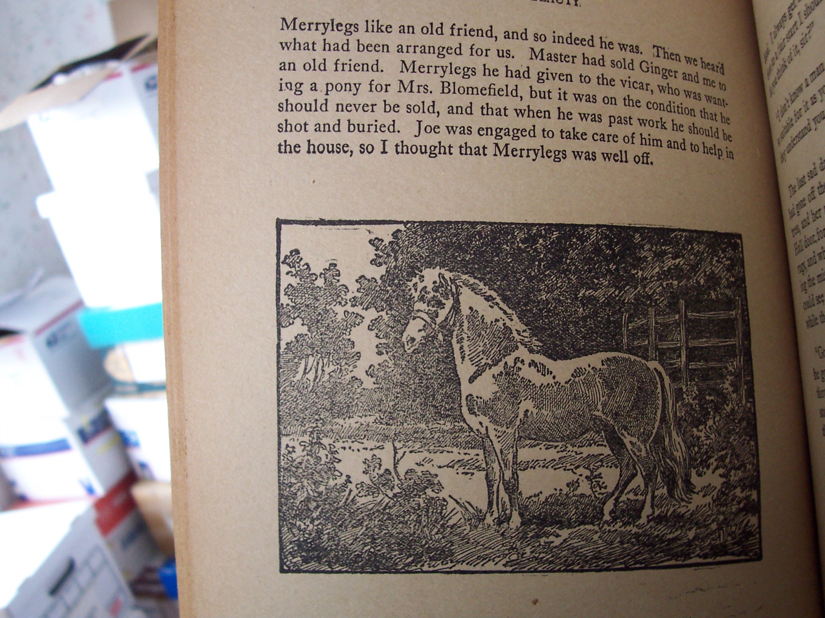 Black Beauty Book Anna Sewell