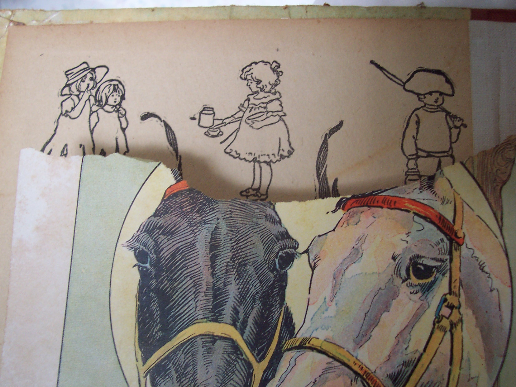 Black Beauty Book Anna Sewell