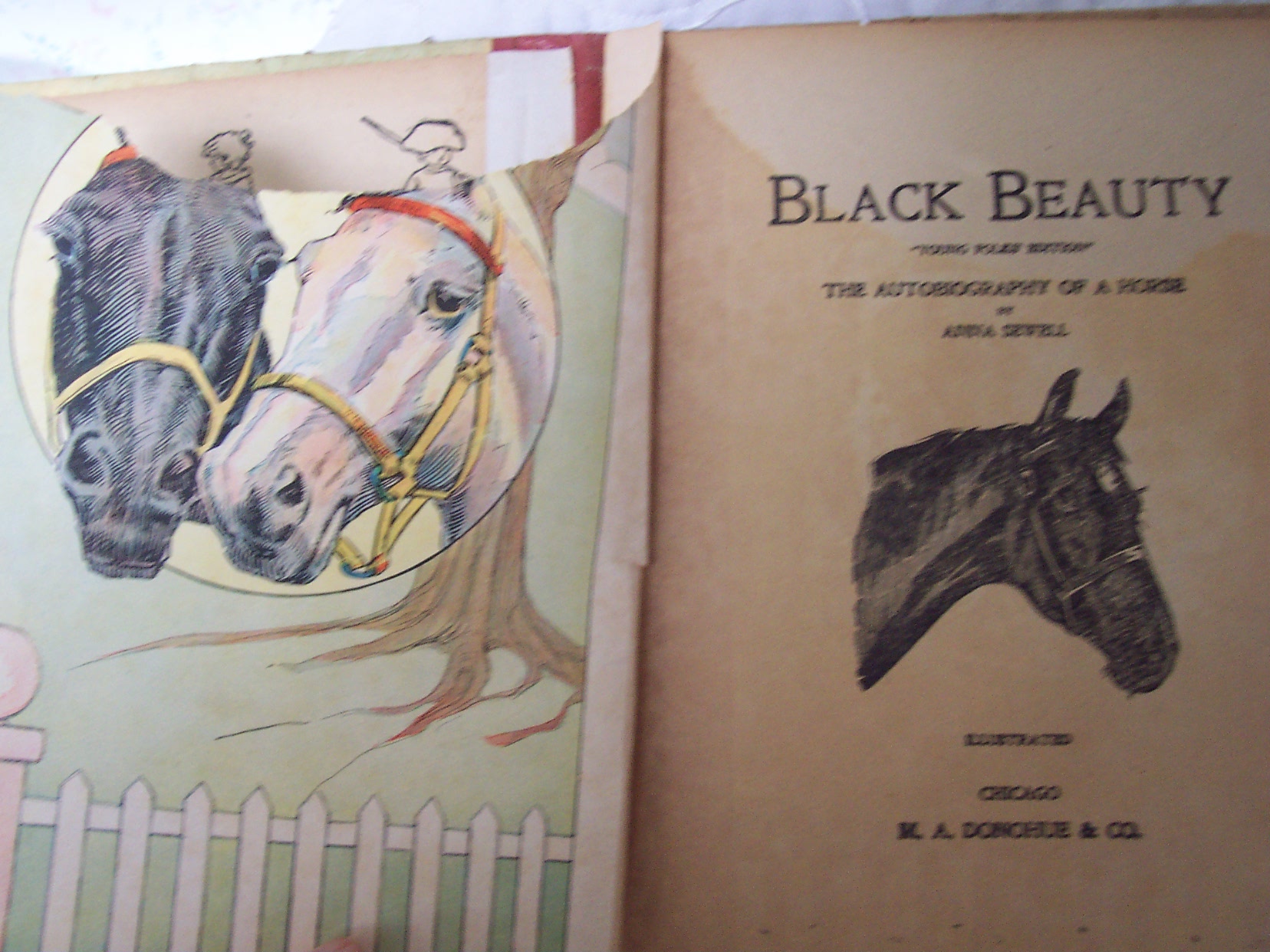 Black Beauty Book Anna Sewell