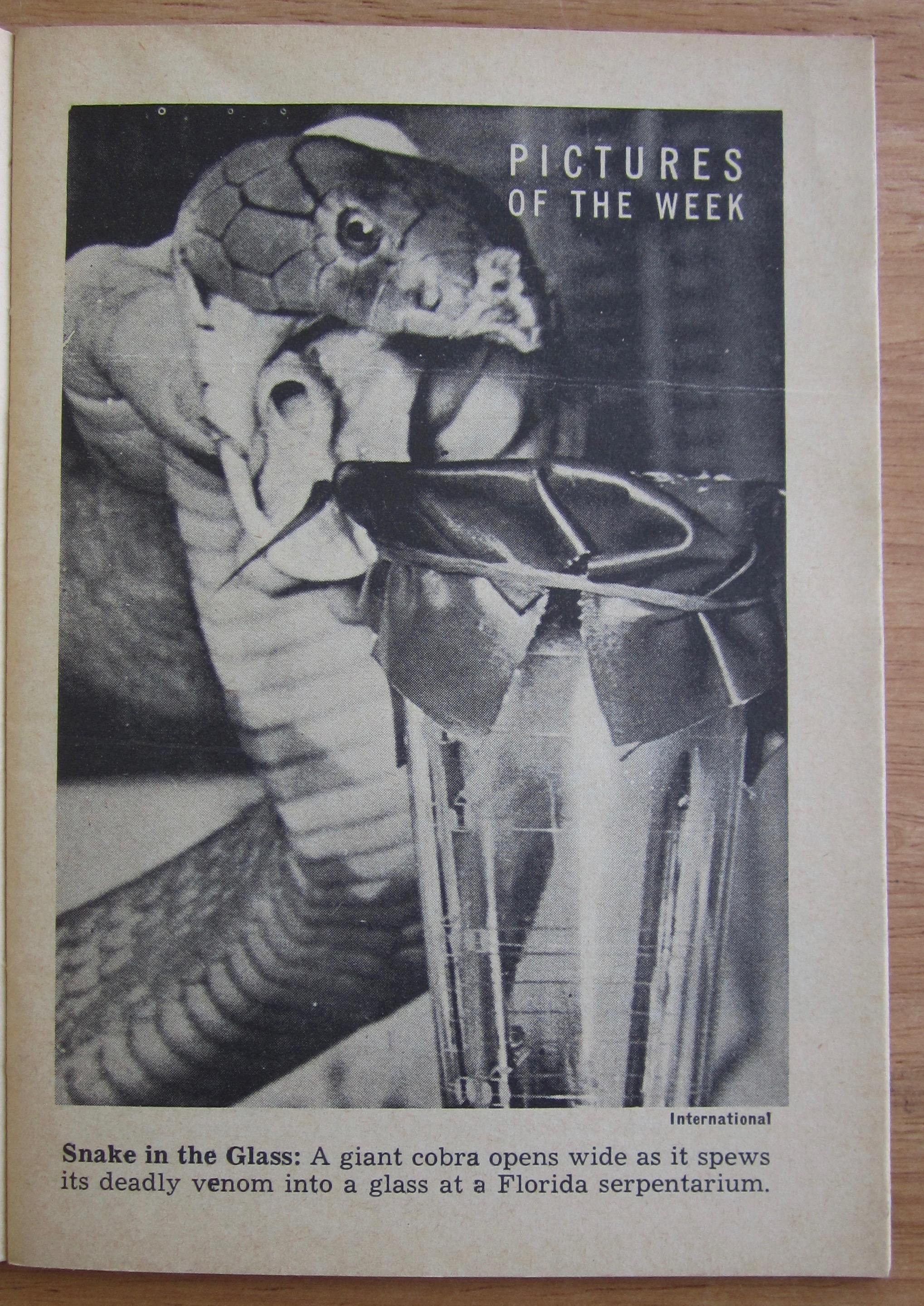 Tempo Magazine August 24, 1953 Roy Campanella