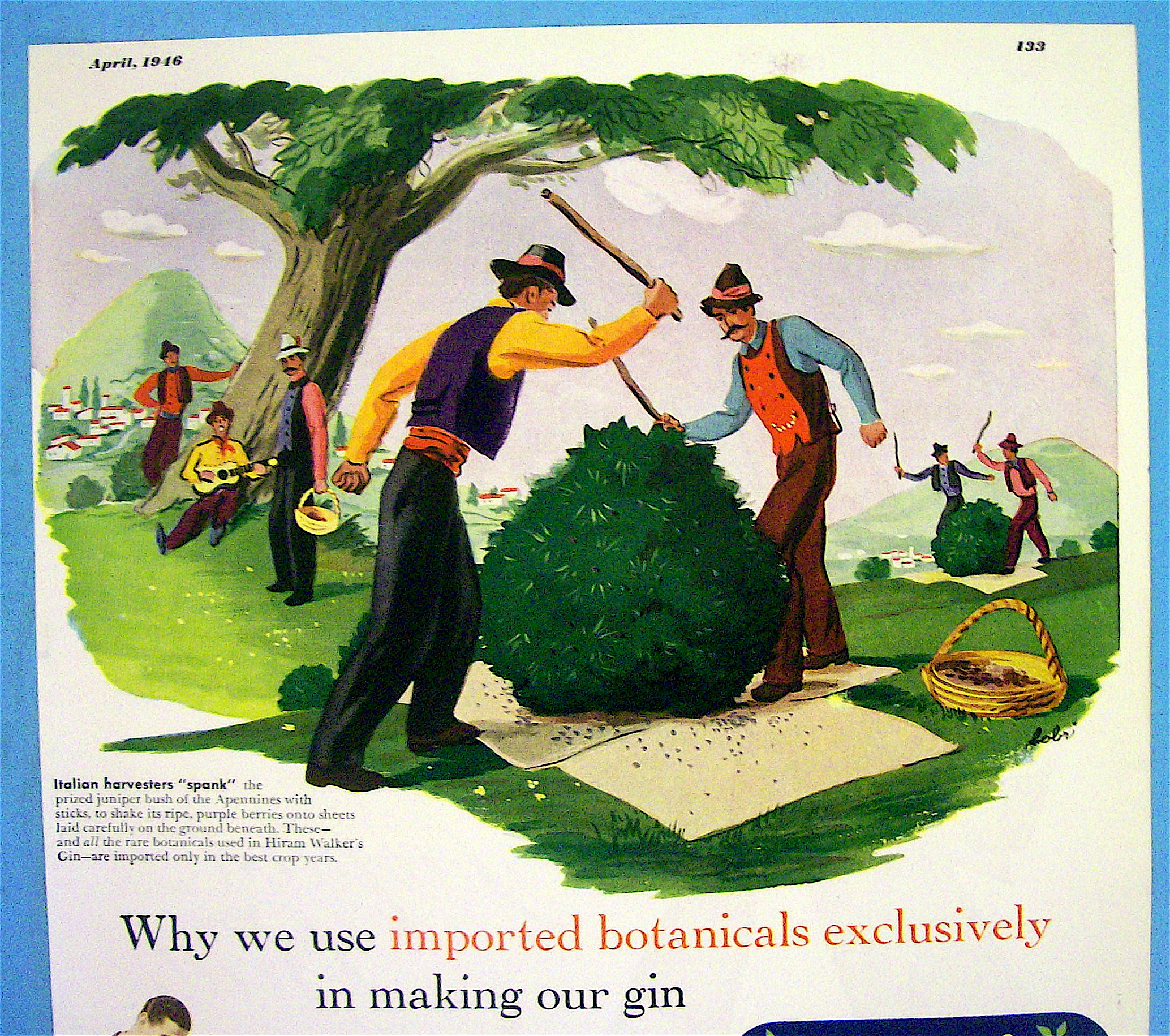 1946 Walker's Gin with Harvesters Spanking Bush