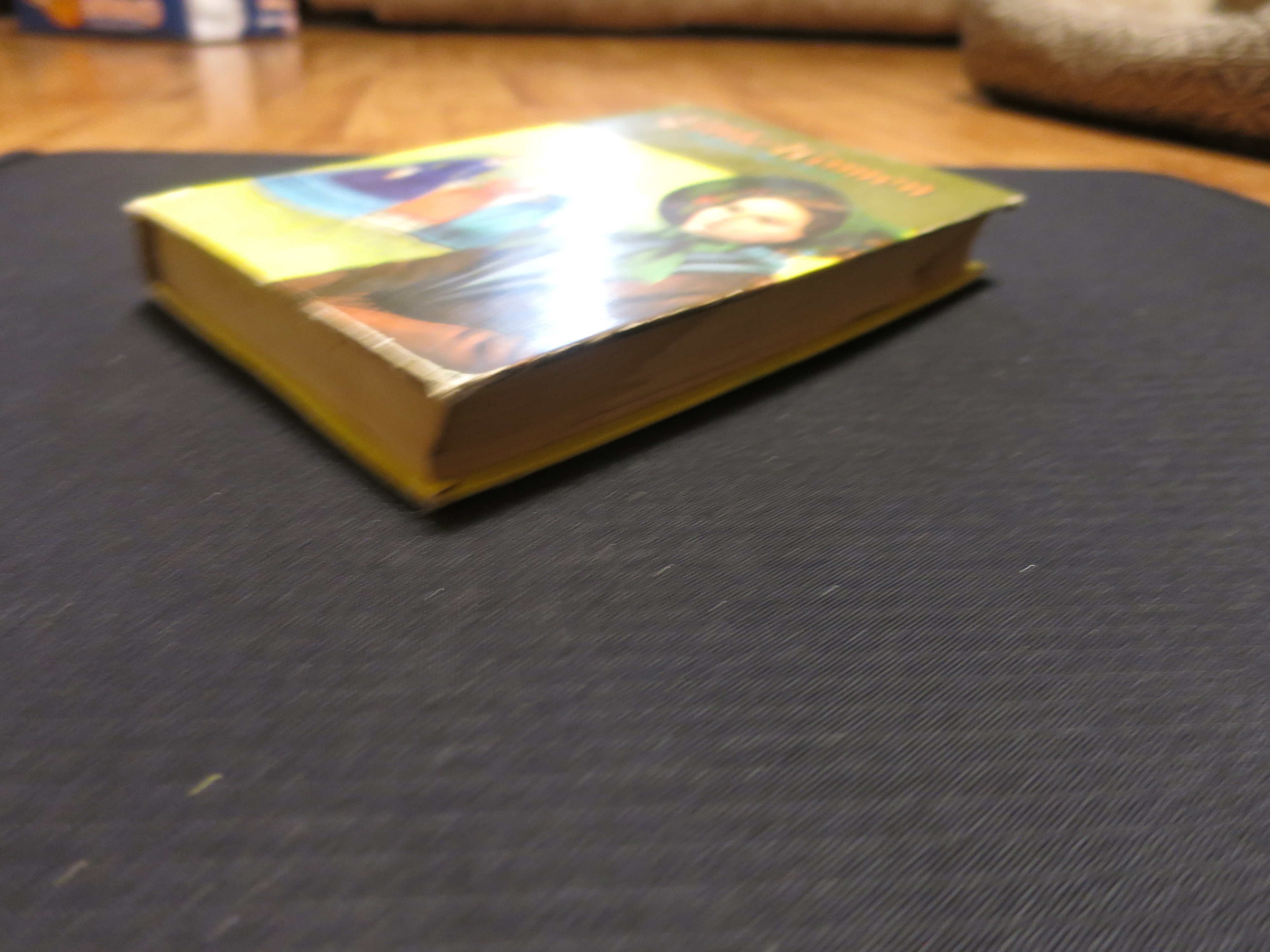 Little Women book by Louisa May Alcott 1955