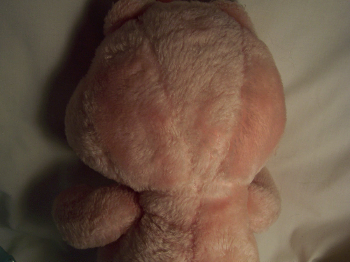 Care Bear Love A Lot 1983 Kenner