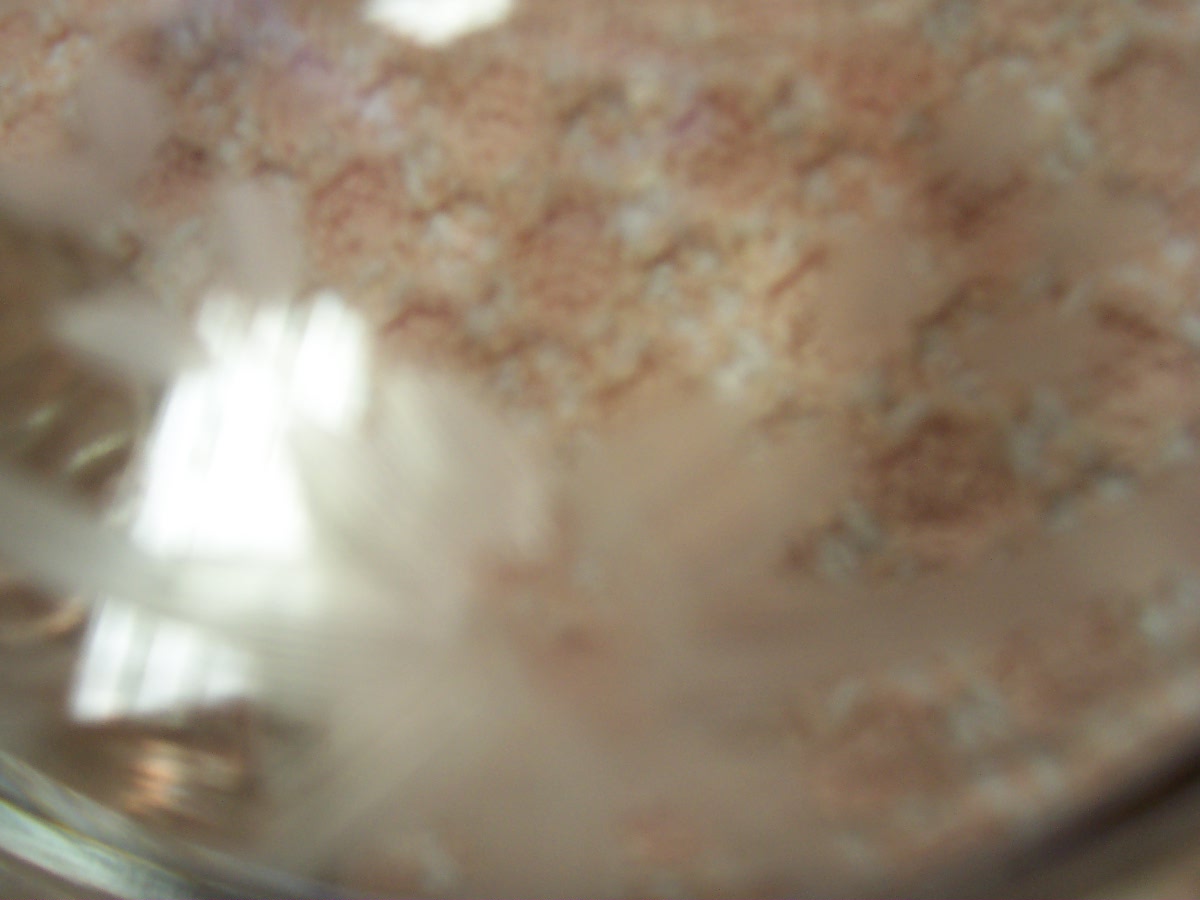 Etched Glass Covered Candy Dish