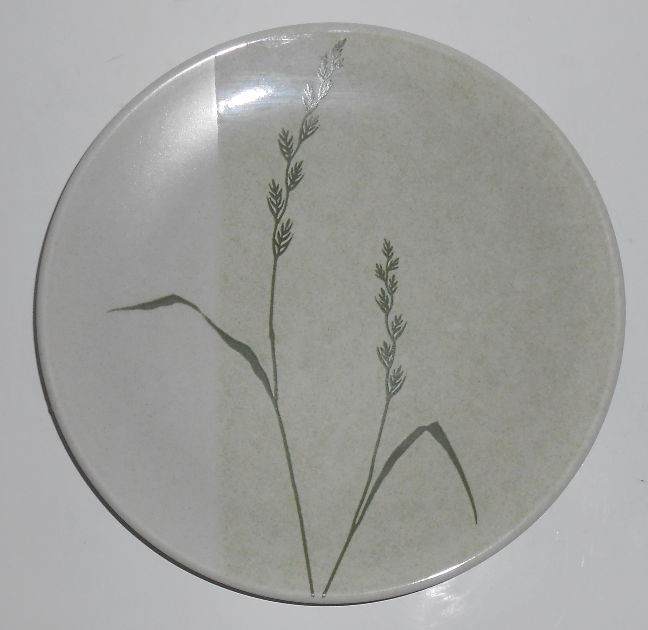 Mikasa China Soft Breeze Salad Plate