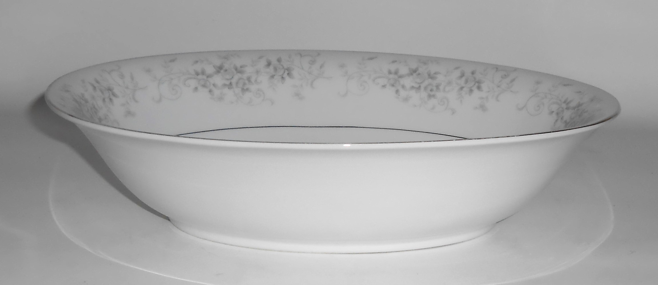 Camelot Porcelain China Platinum Band Carrousel Oval Ve