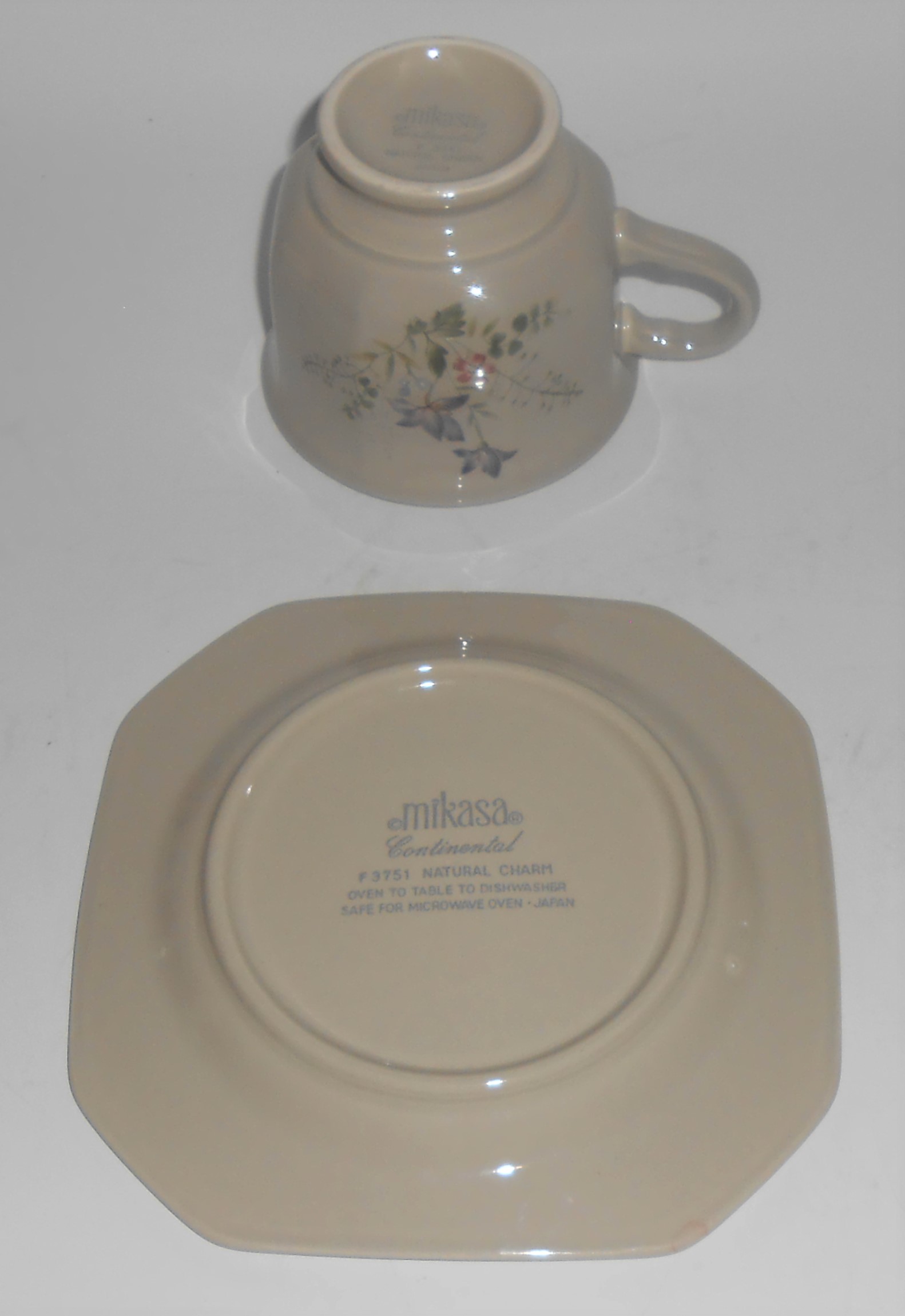 Mikasa Continental China Pottery Natural Charm Cup & Sa