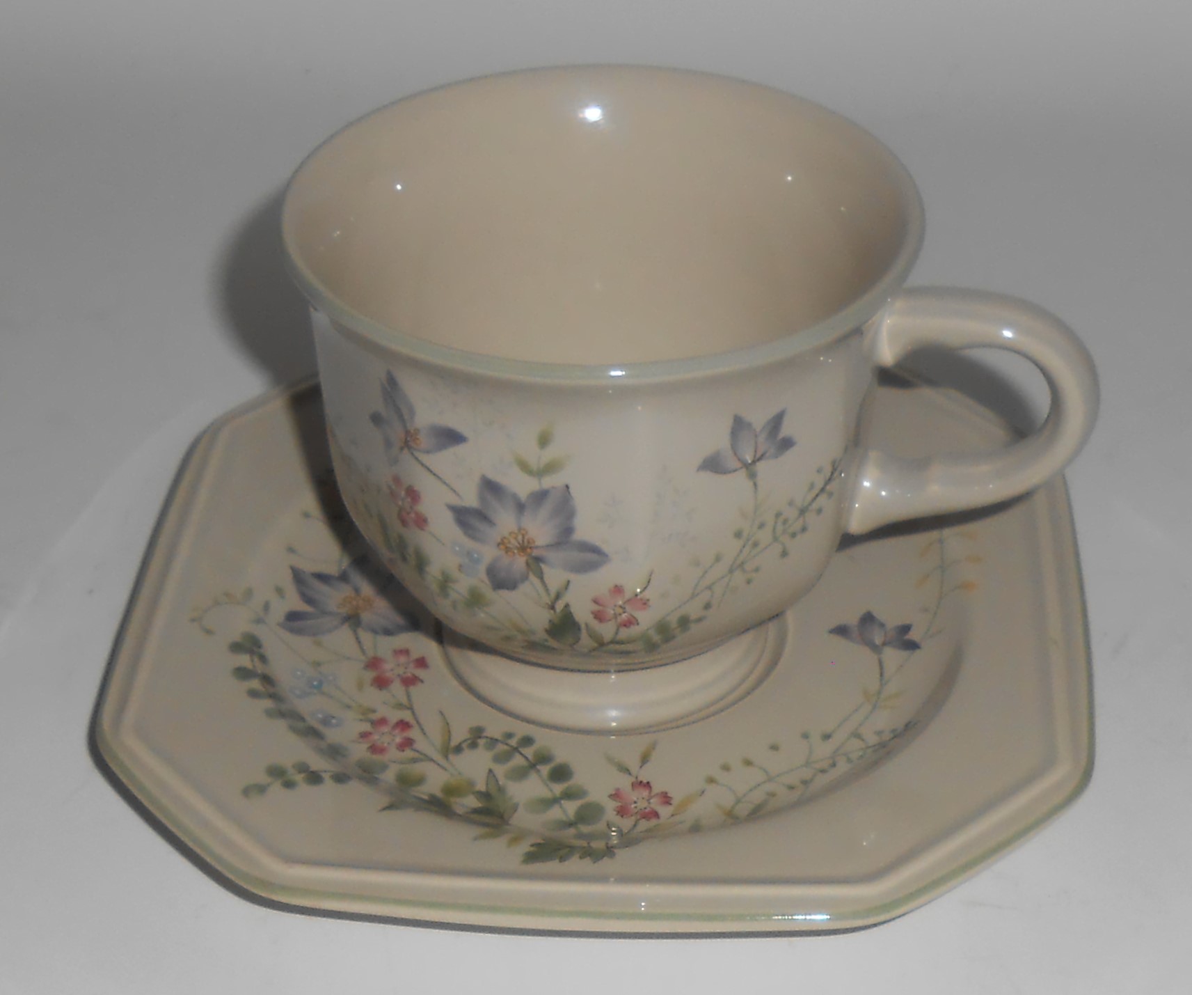 Mikasa Continental China Pottery Natural Charm Cup & Sa