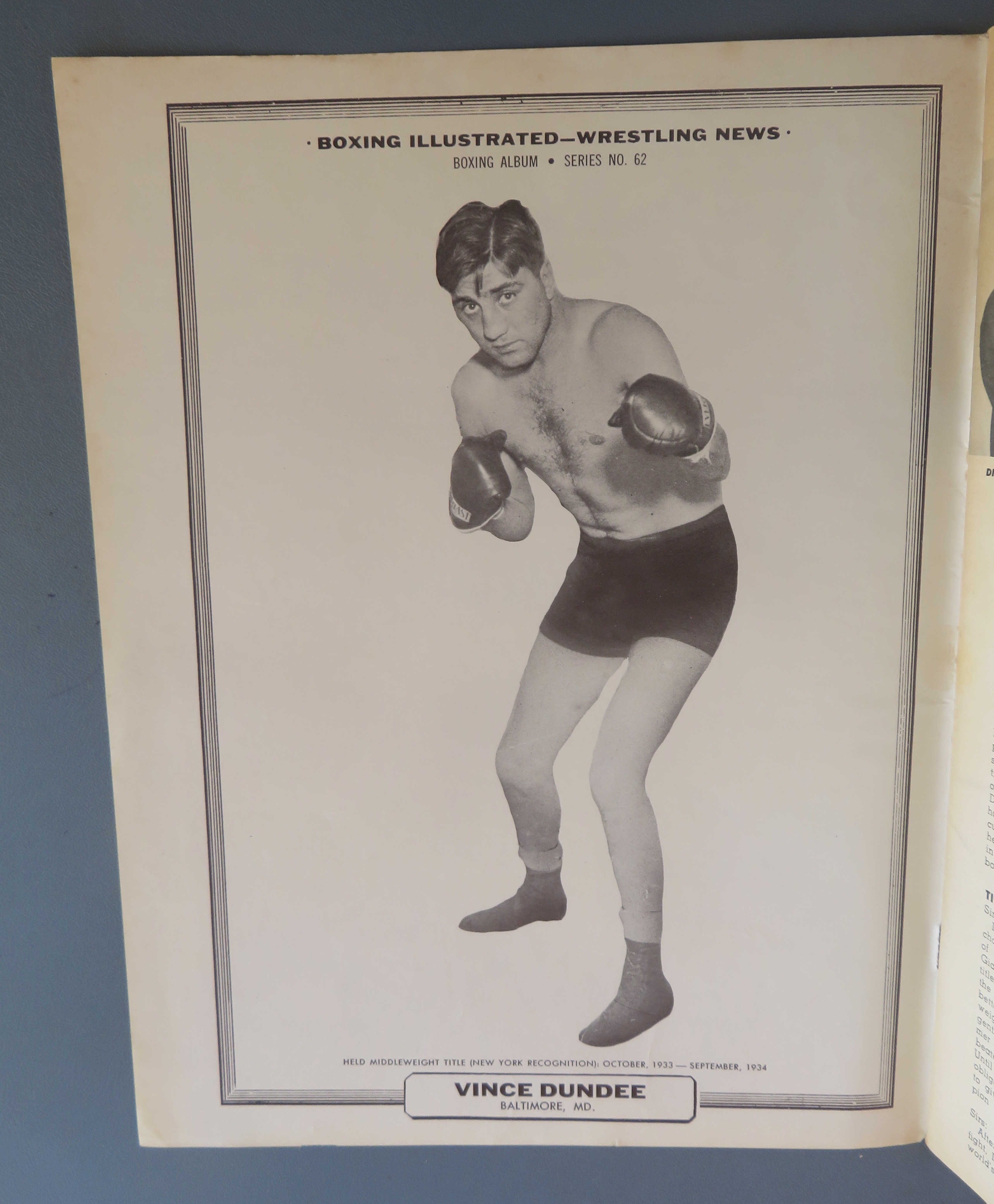 Boxing Illustrated Wrestling Magazine November 1964