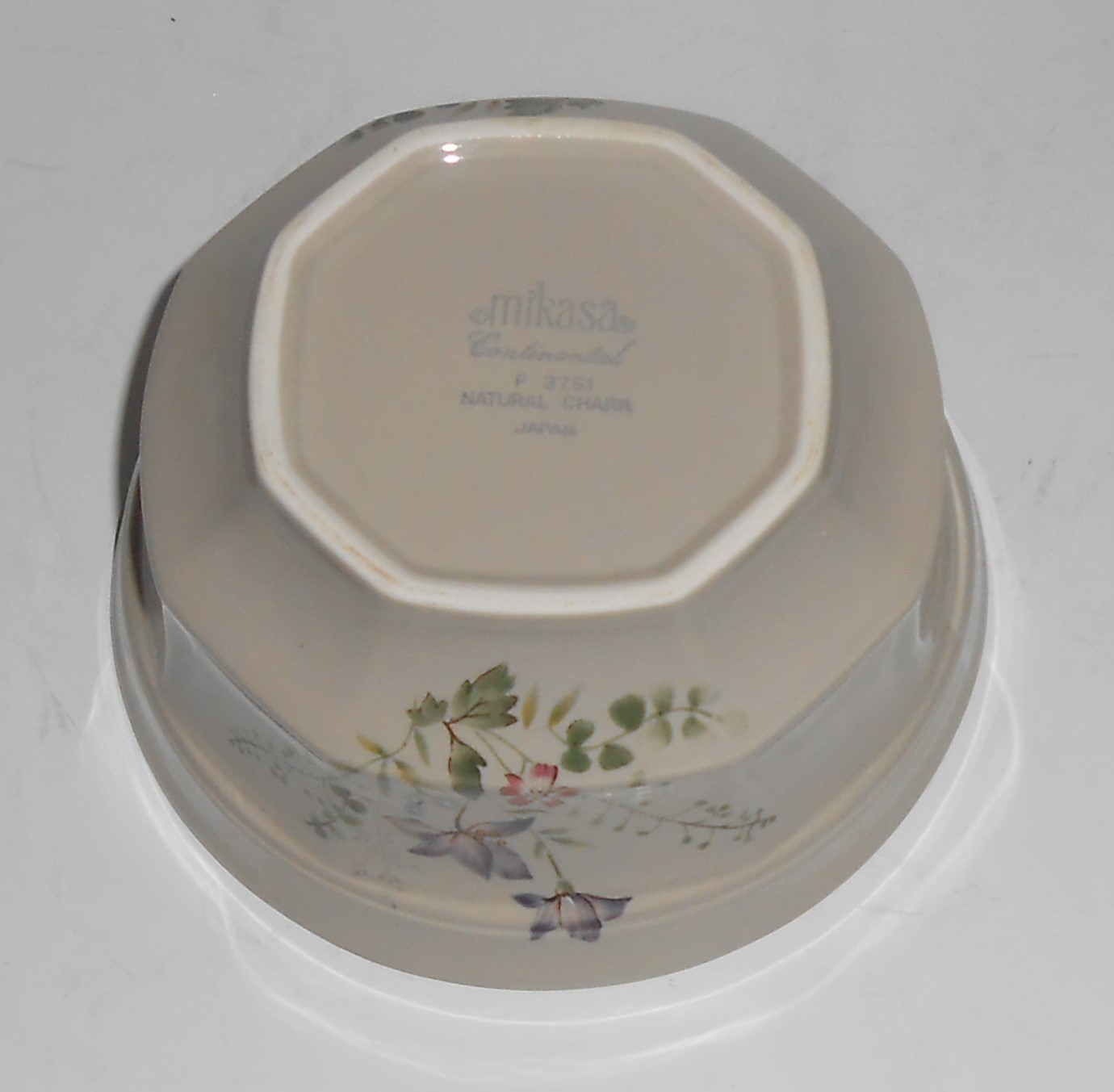 Mikasa Continental China Pottery Natural Charm Fruit
