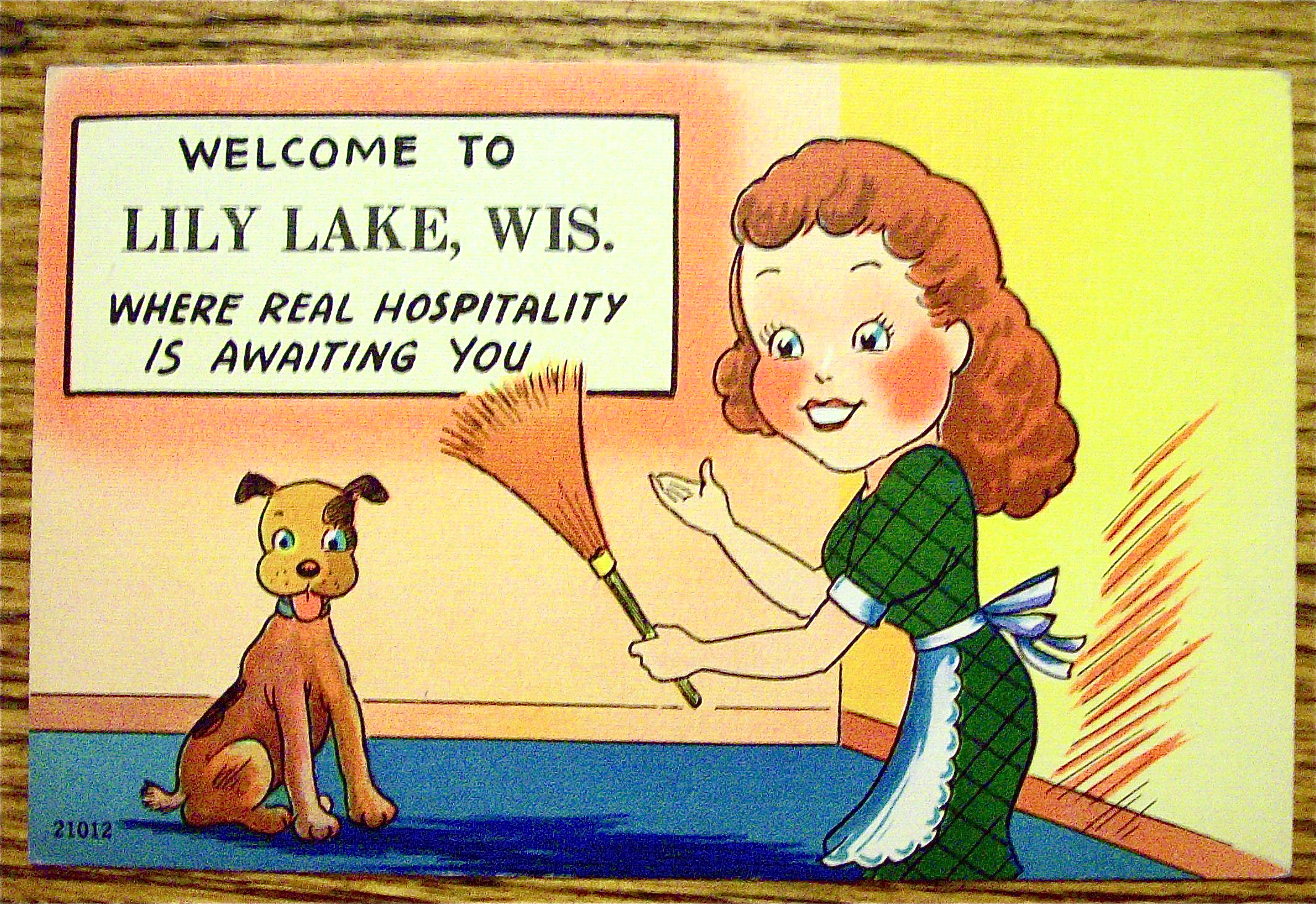 Woman Cleaning With Dog Sitting Postcard