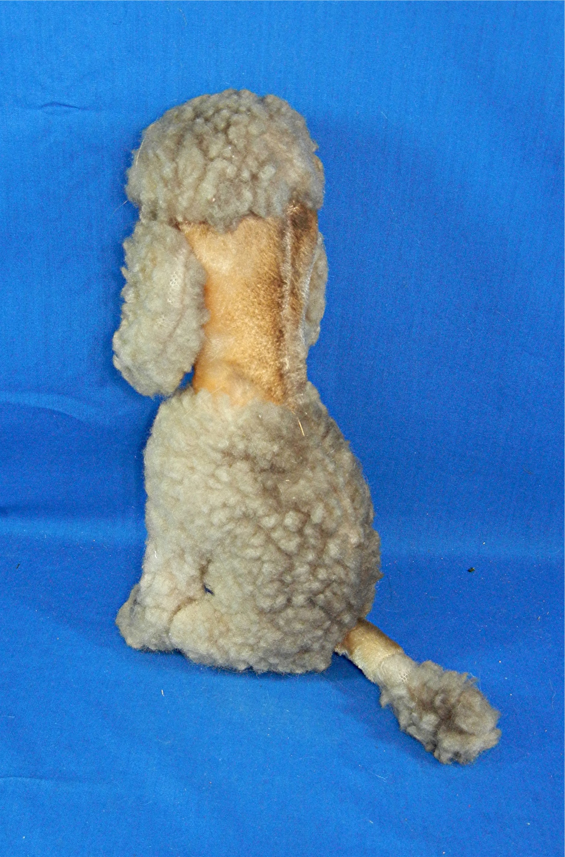 poodle by KAMAR
