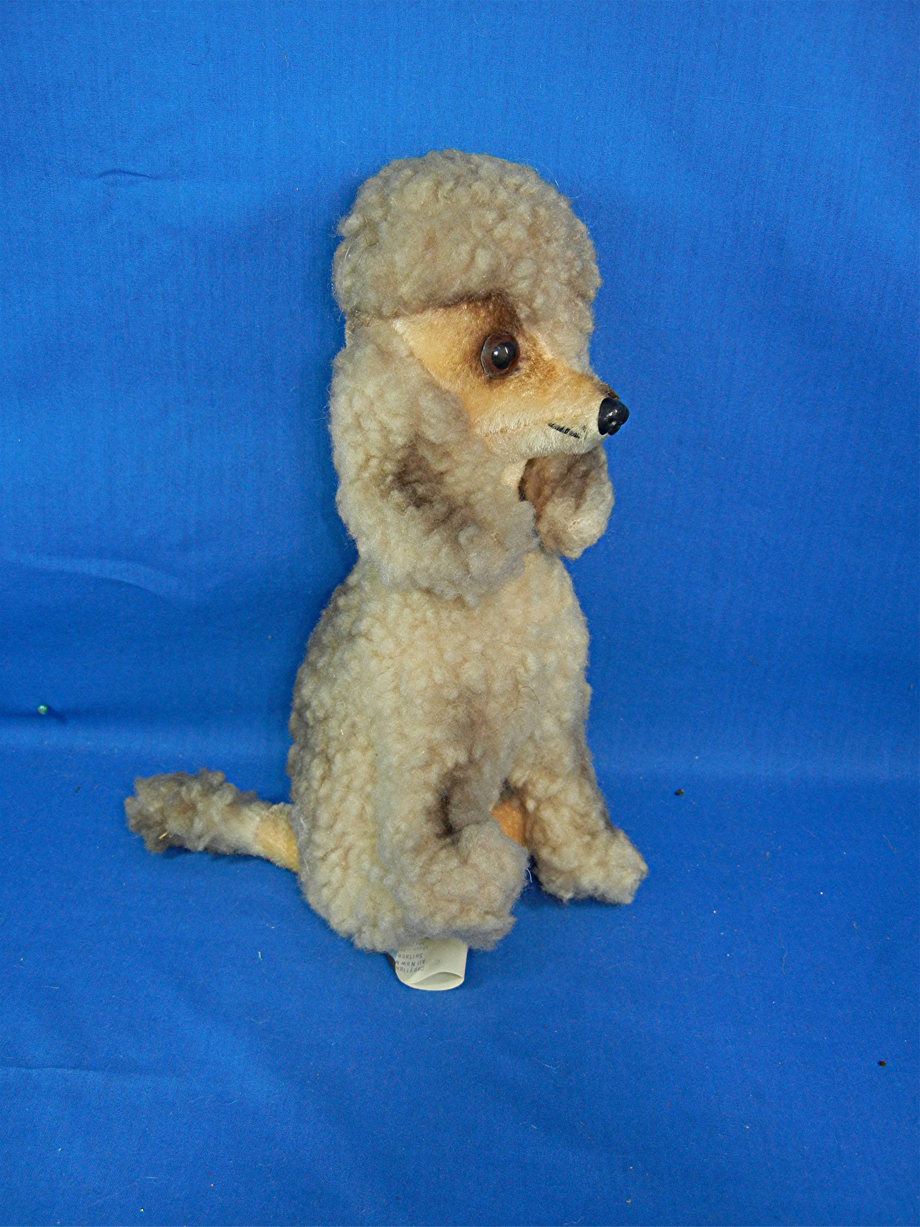 poodle by KAMAR