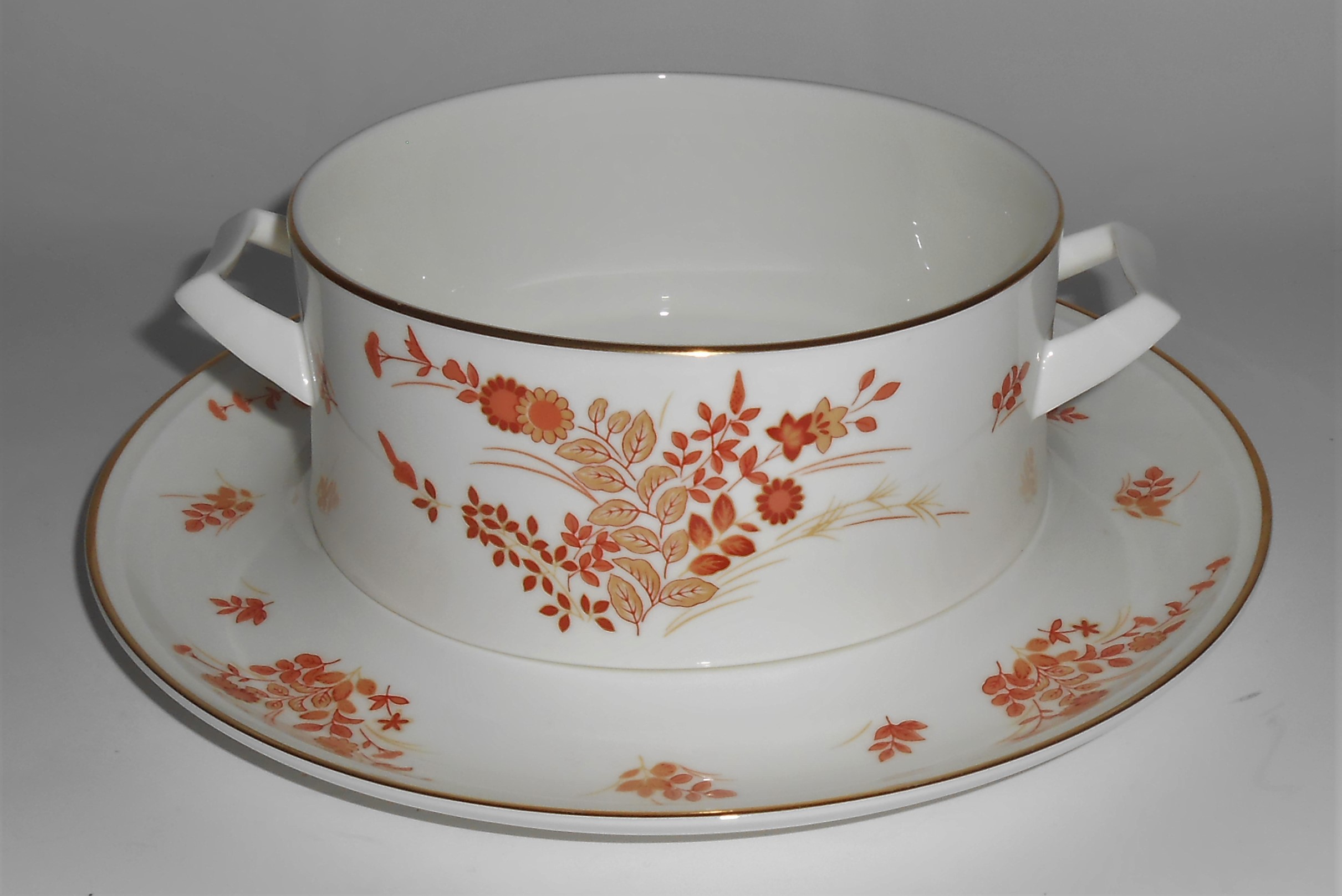Mikasa Bone China Eastwind w/Gold Gravy & Under Plate