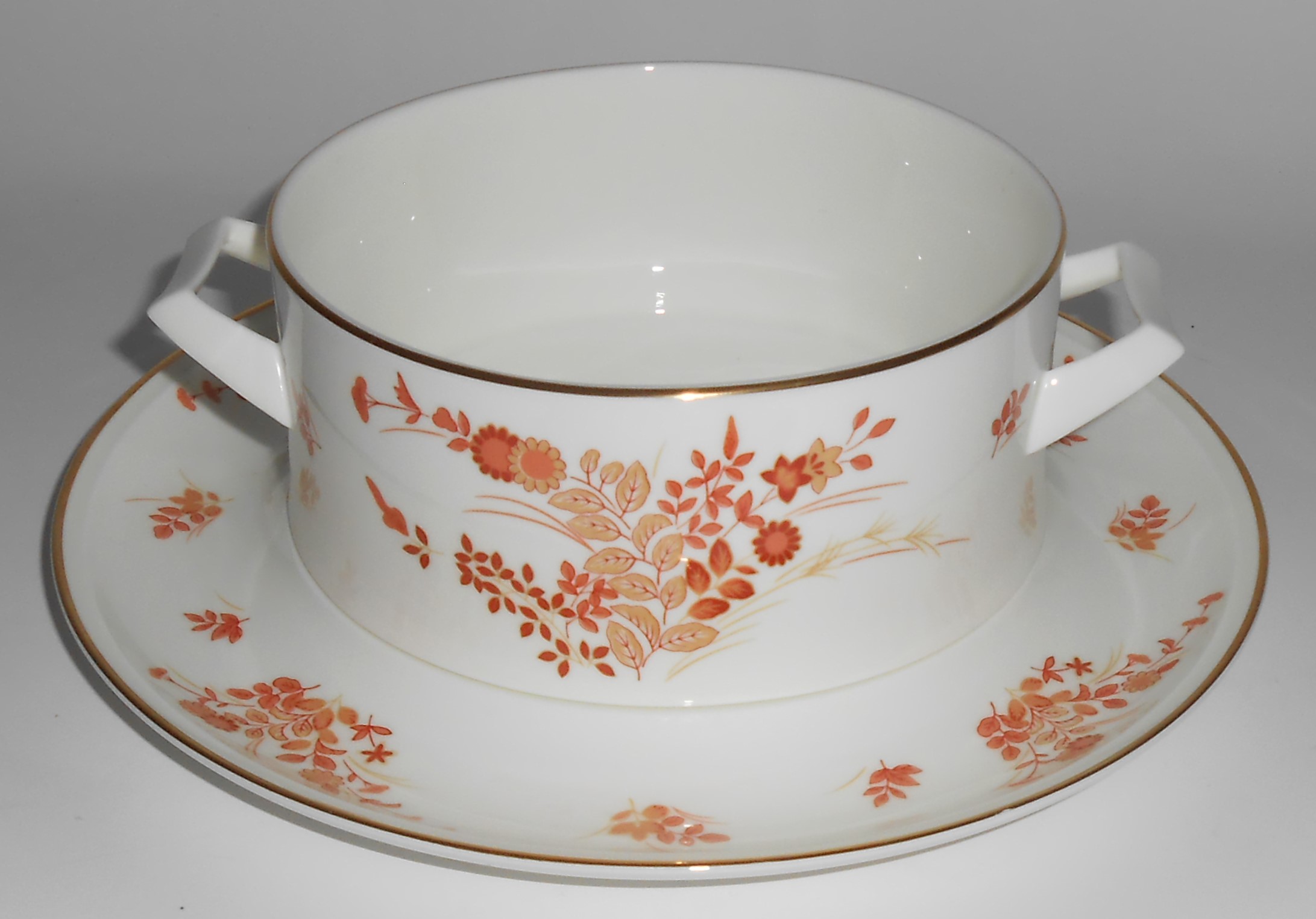 Mikasa Bone China Eastwind w/Gold Gravy & Under Plate