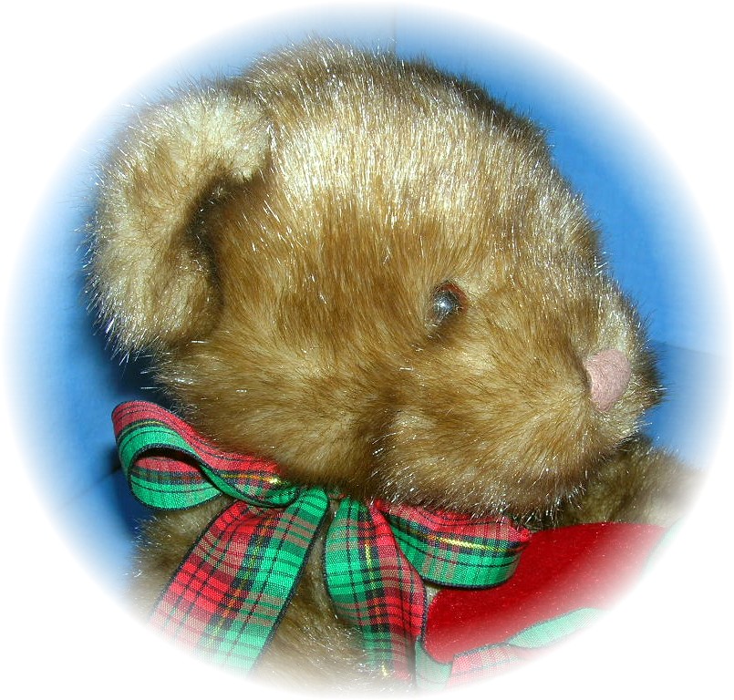 16 Inch Brown Gund Bear With Gift Red Box...
