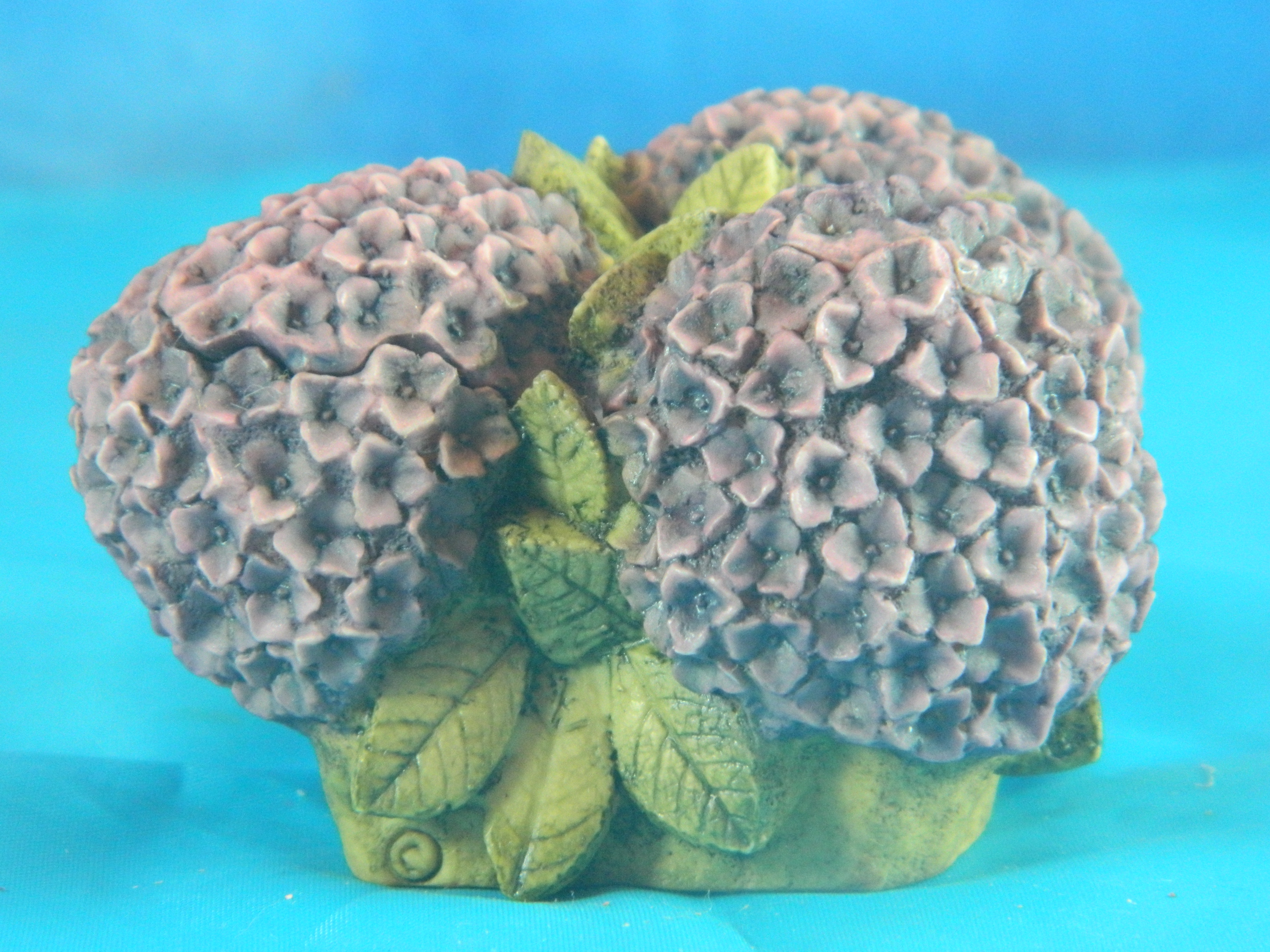 Harmony Garden Hydrangea