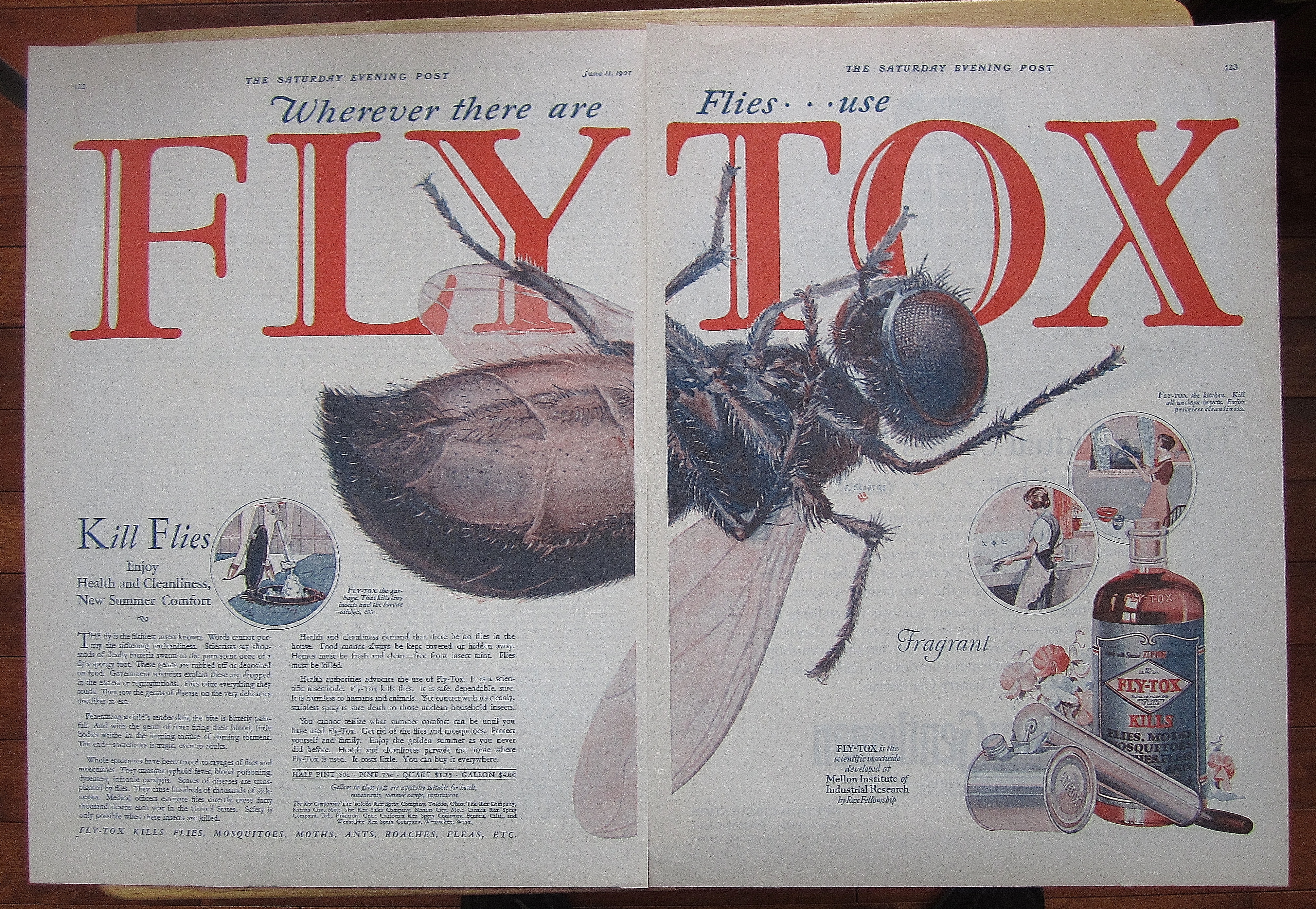 1927 Flytox With Dead Fly