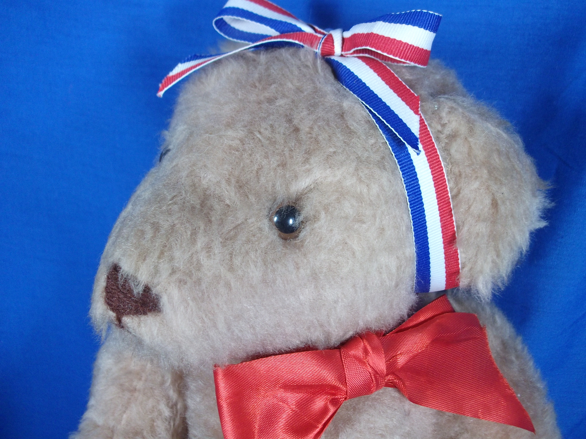 Bearly There Teddy Bear, 15 inches tall, jointed