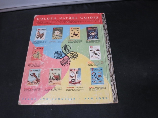 The Lone Ranger and the Talking Pony 1958 First Edition