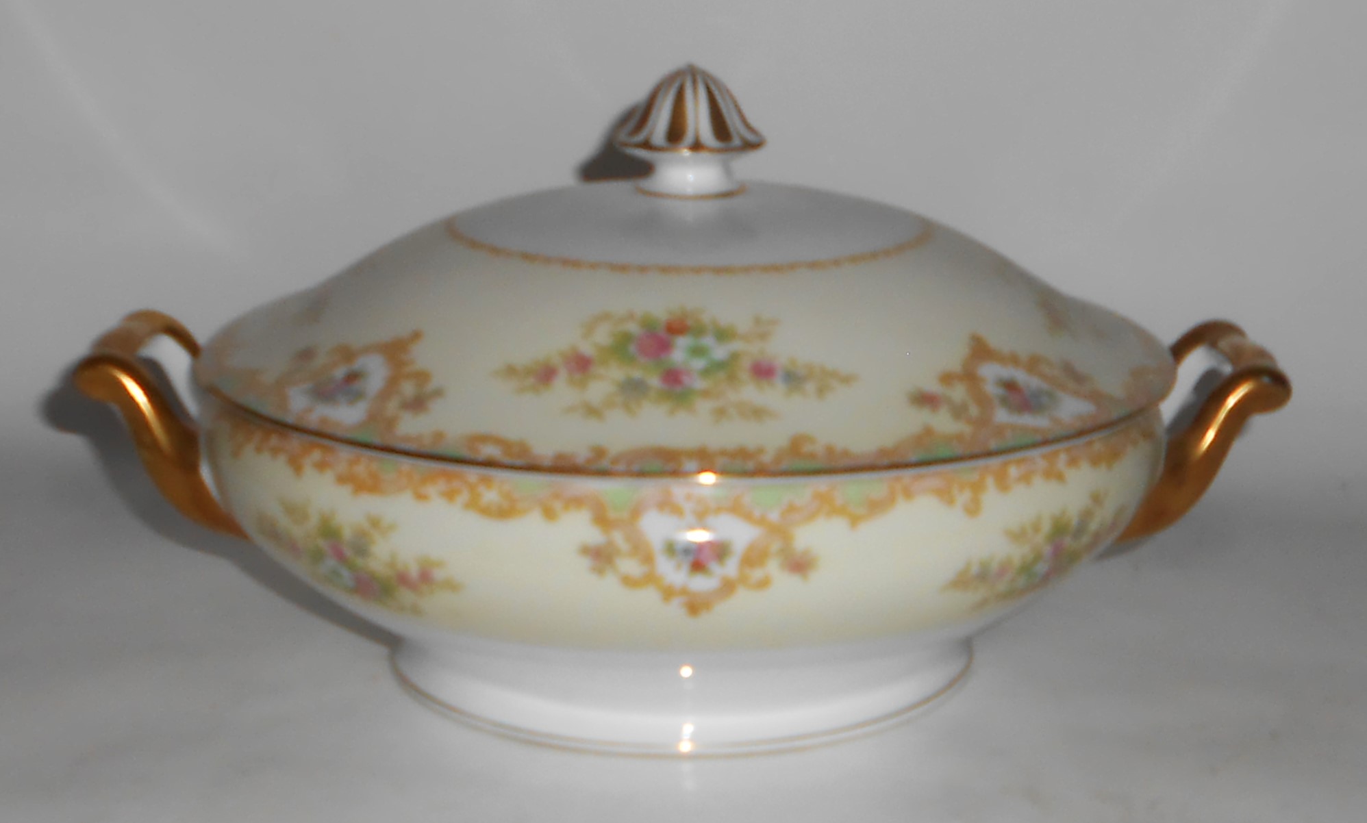 Noritake China Porcelain 581 Fernand Floral w/Gold Cove