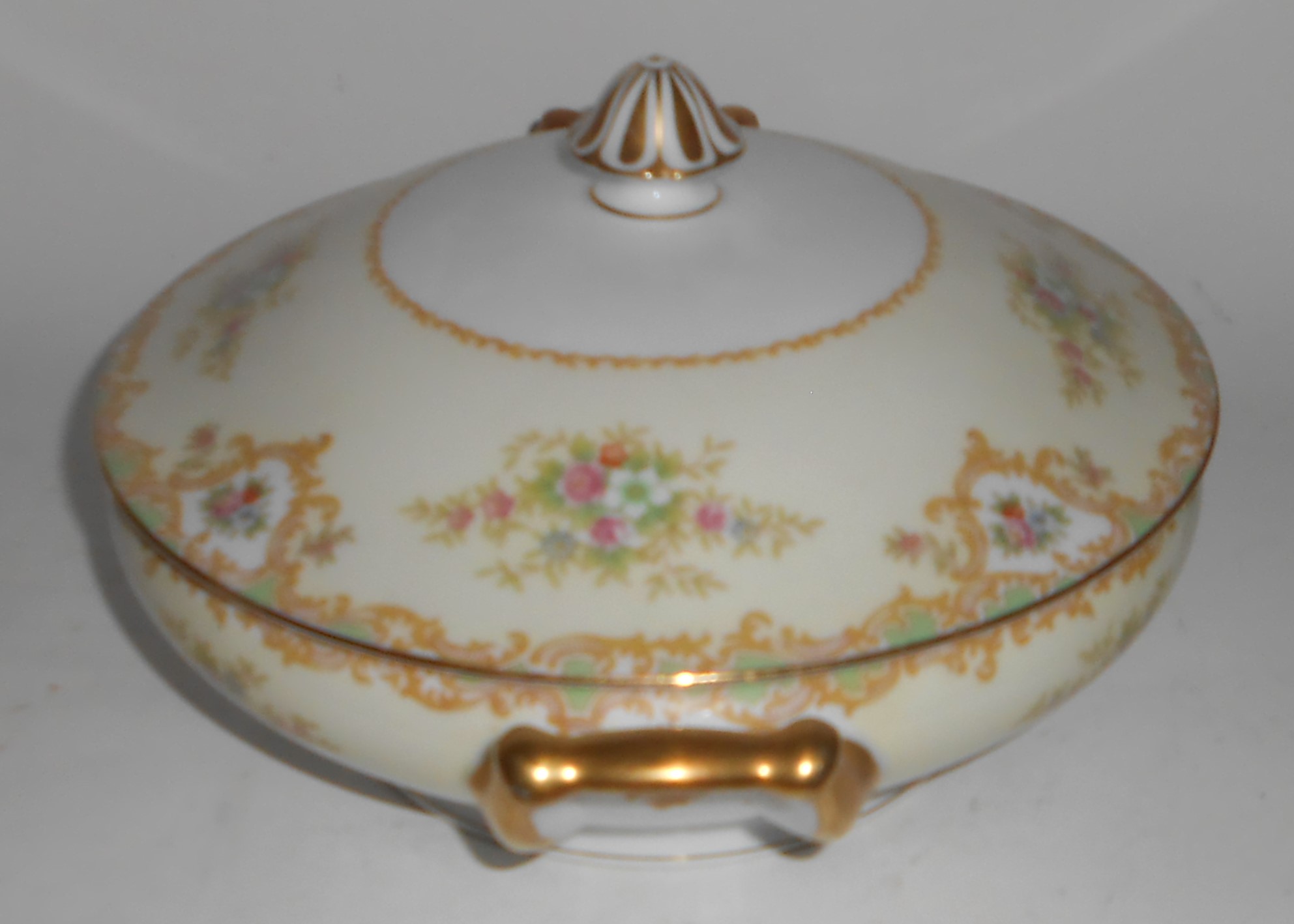 Noritake China Porcelain 581 Fernand Floral w/Gold Cove