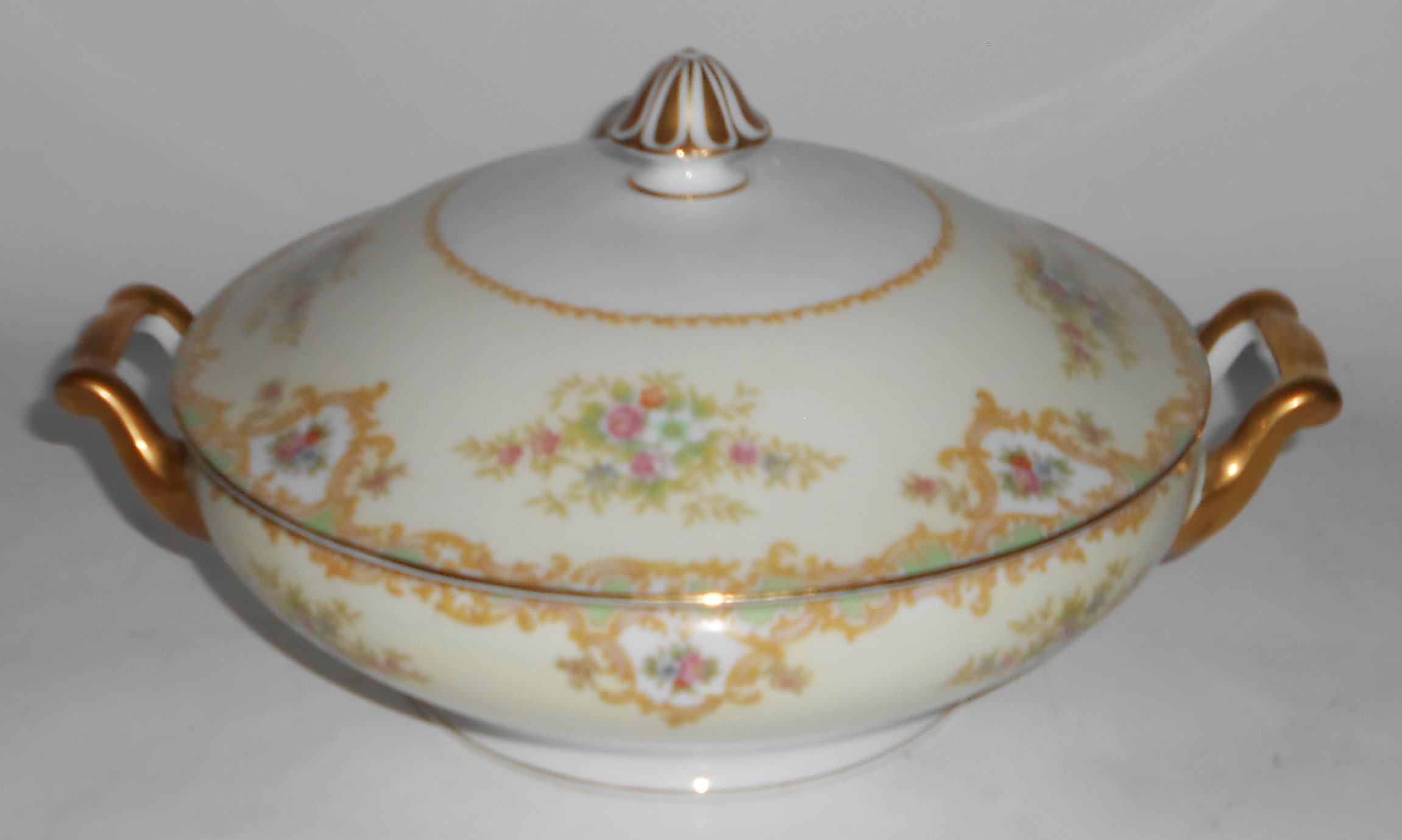 Noritake China Porcelain 581 Fernand Floral w/Gold Cove