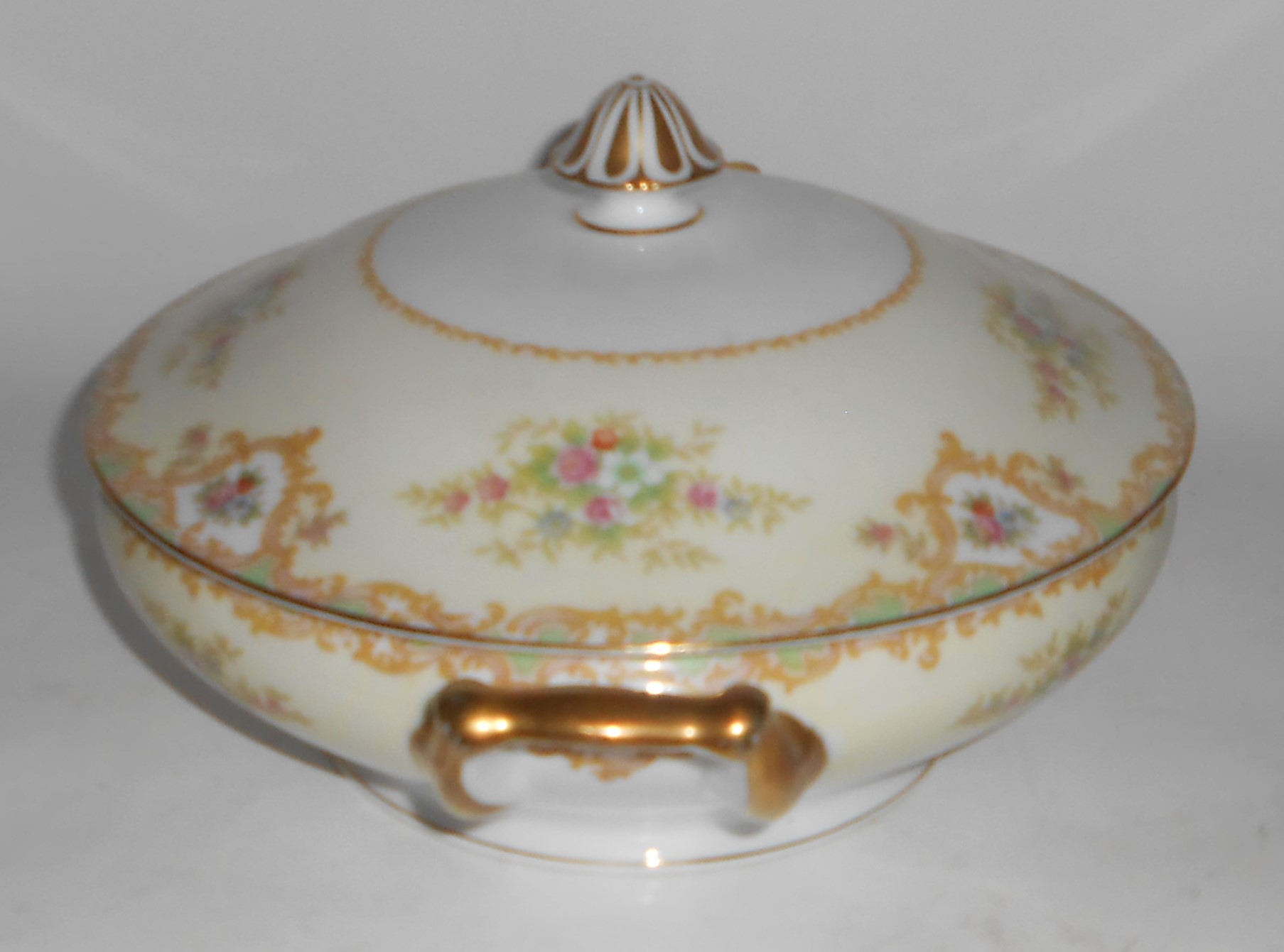 Noritake China Porcelain 581 Fernand Floral w/Gold Cove