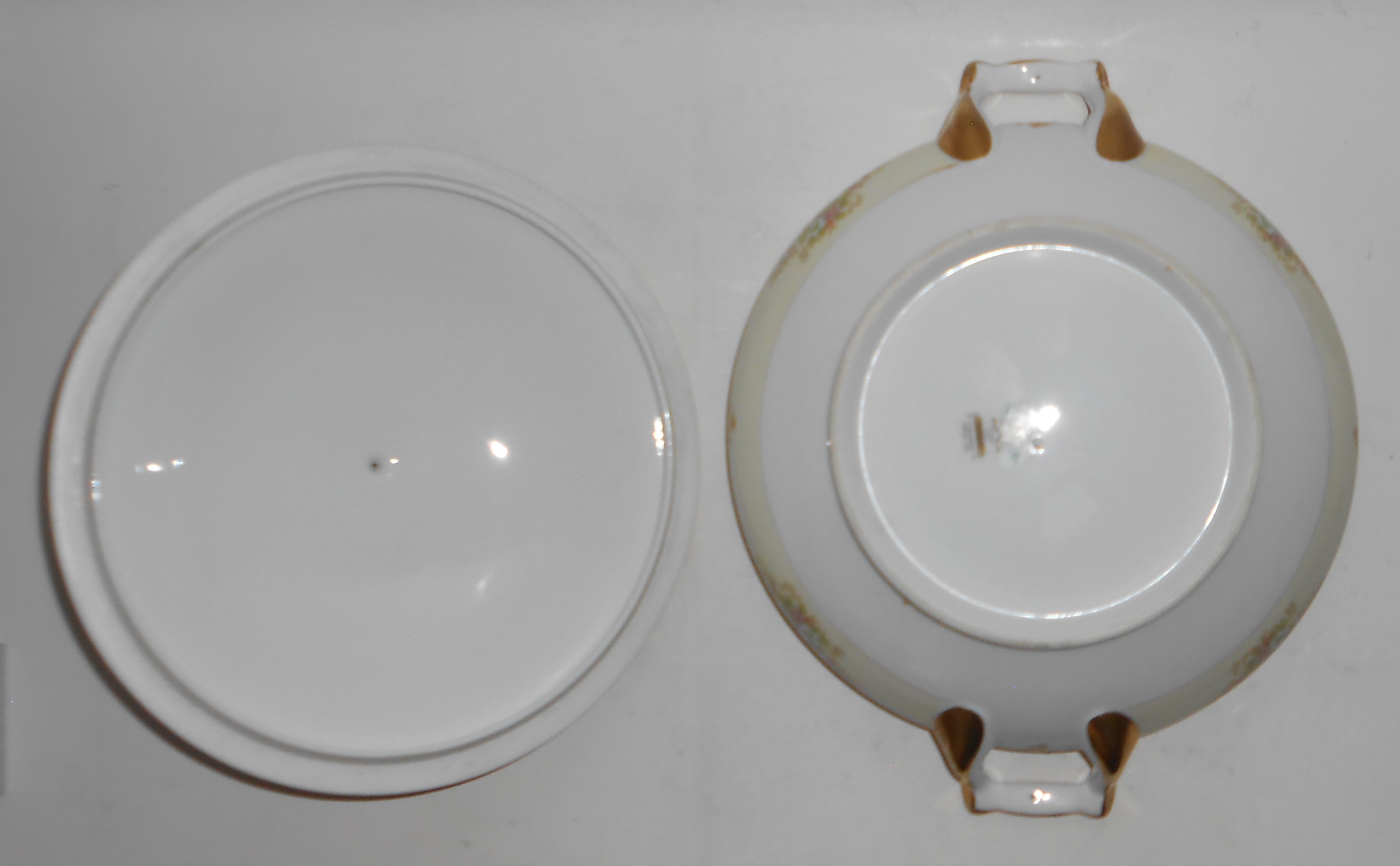 Noritake China Porcelain 581 Fernand Floral w/Gold Cove