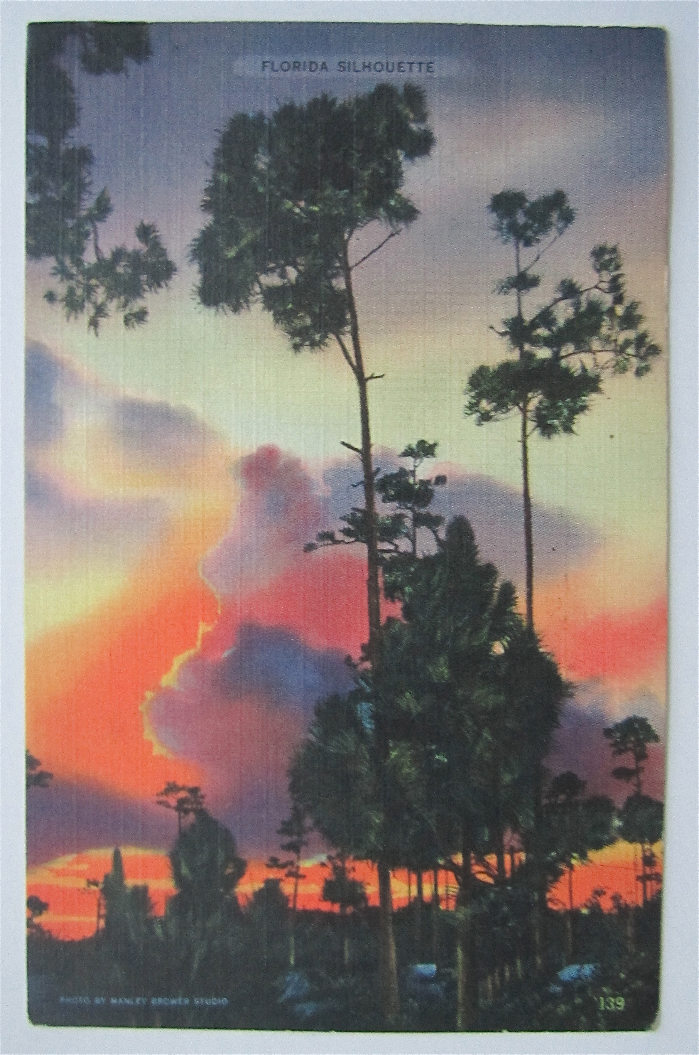 Florida Silhouette Postcard