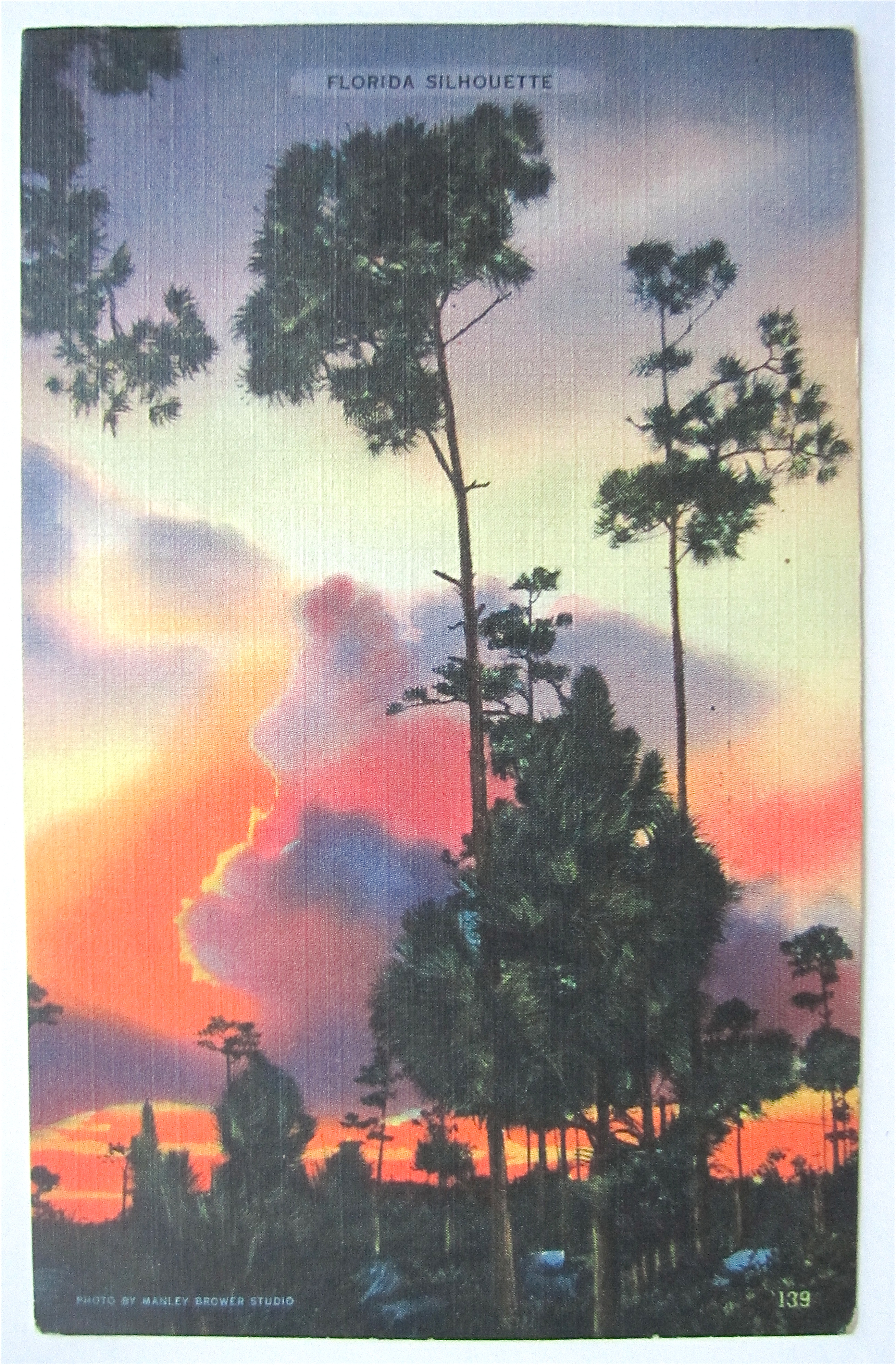 Florida Silhouette Postcard