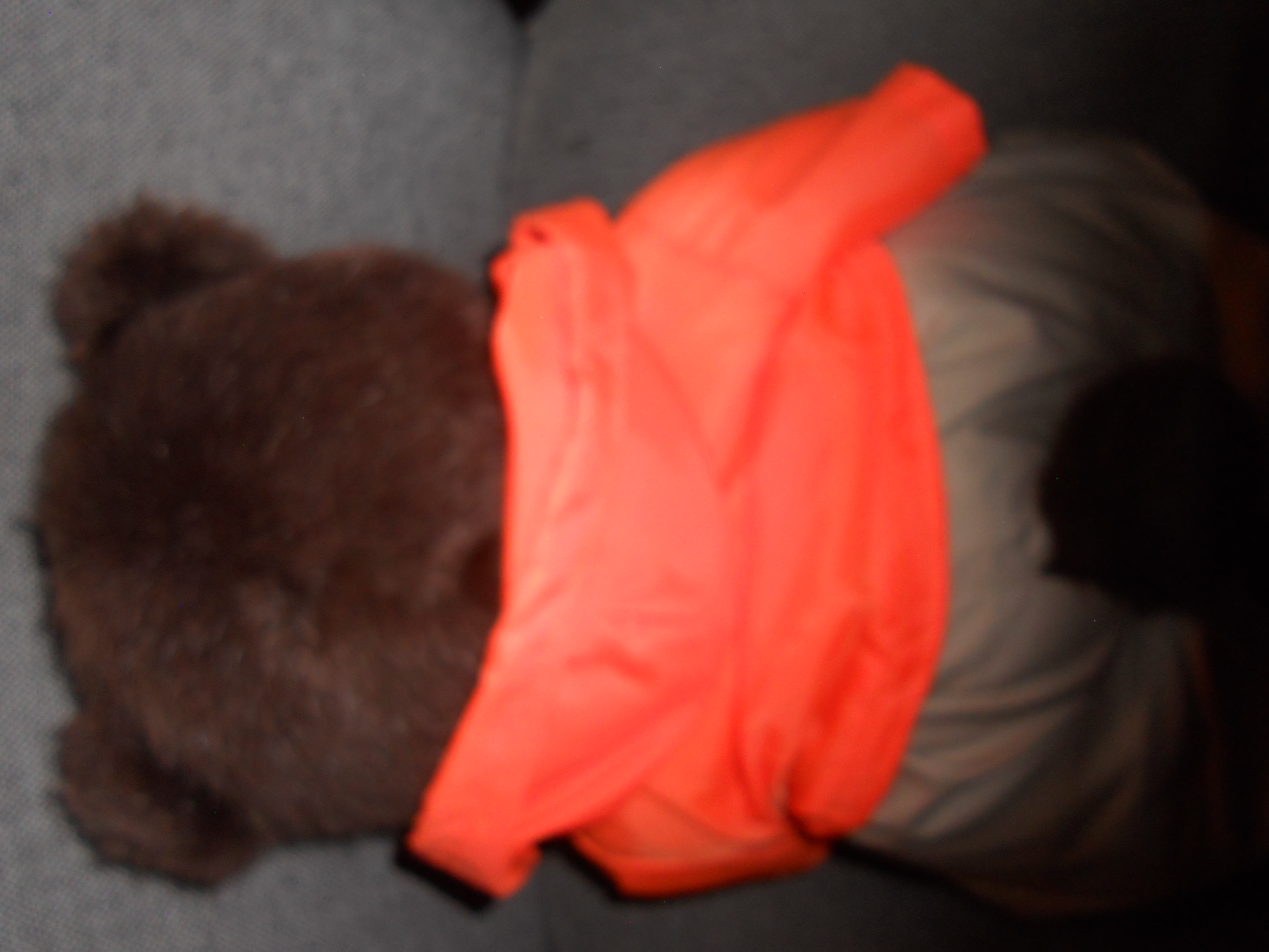 Robert Raikes Bear 1990 Camp Grizzly Hillary