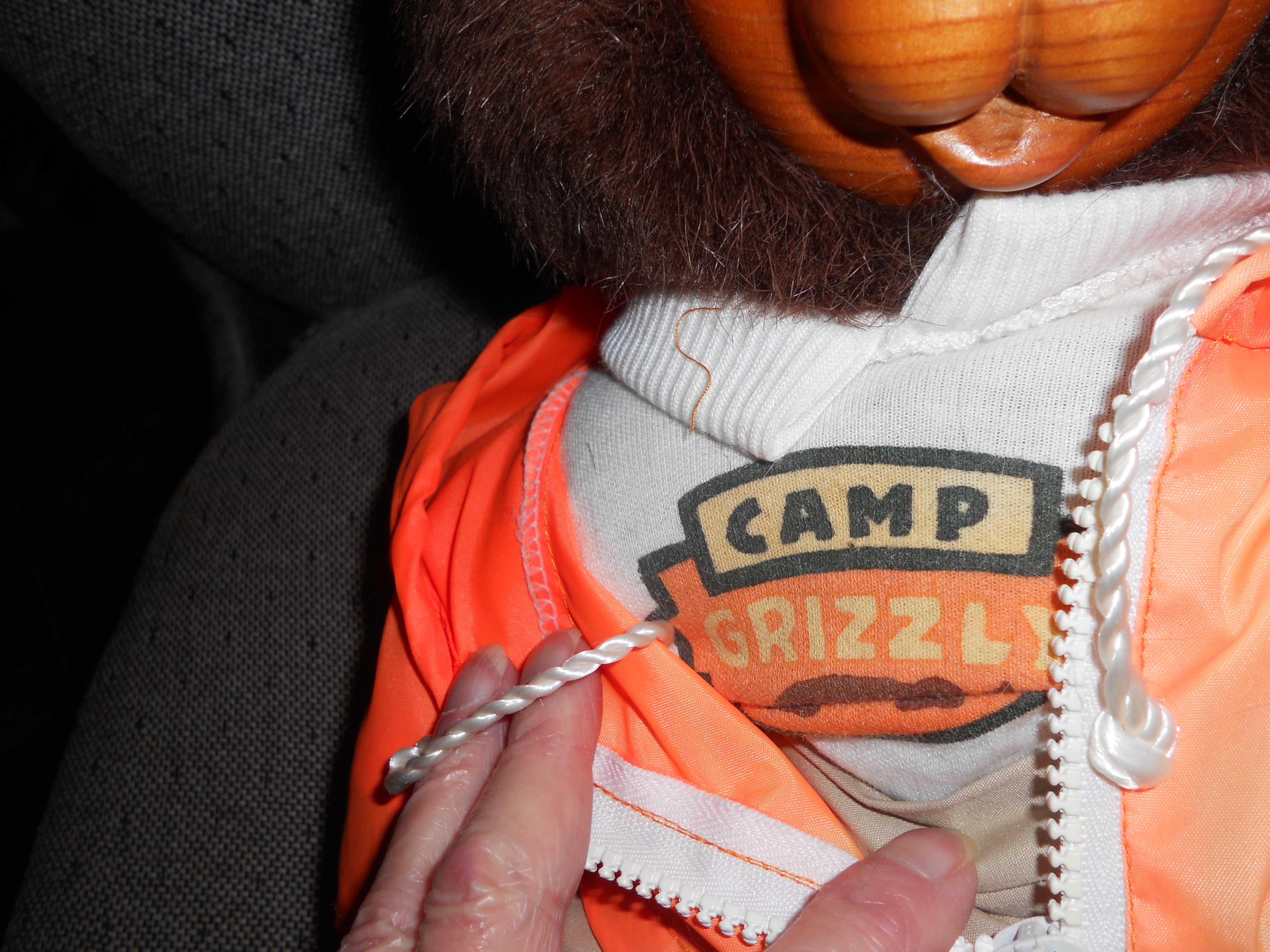 Robert Raikes Bear 1990 Camp Grizzly Hillary