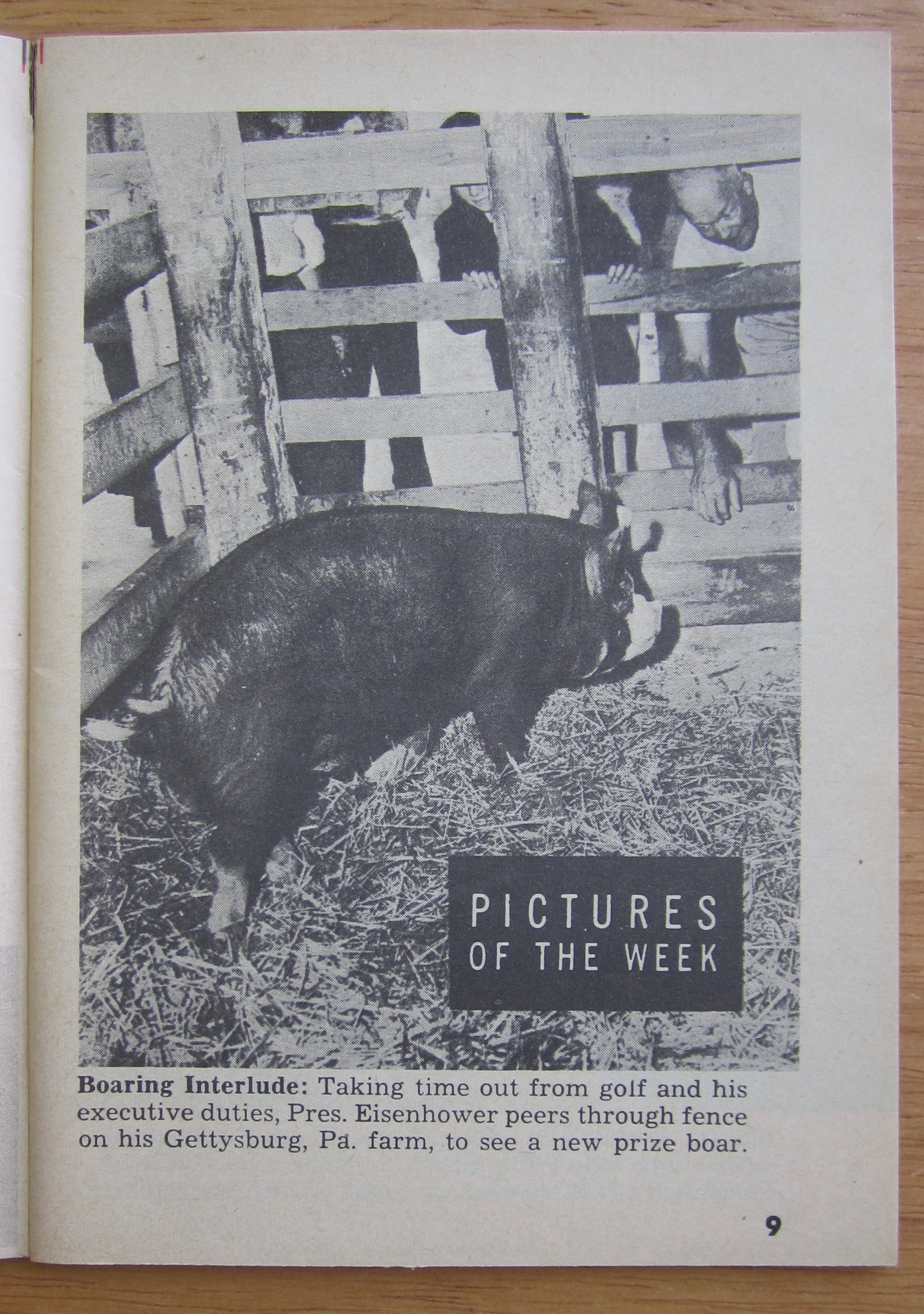 Tempo Magazine September 20, 1955 Janet Blair