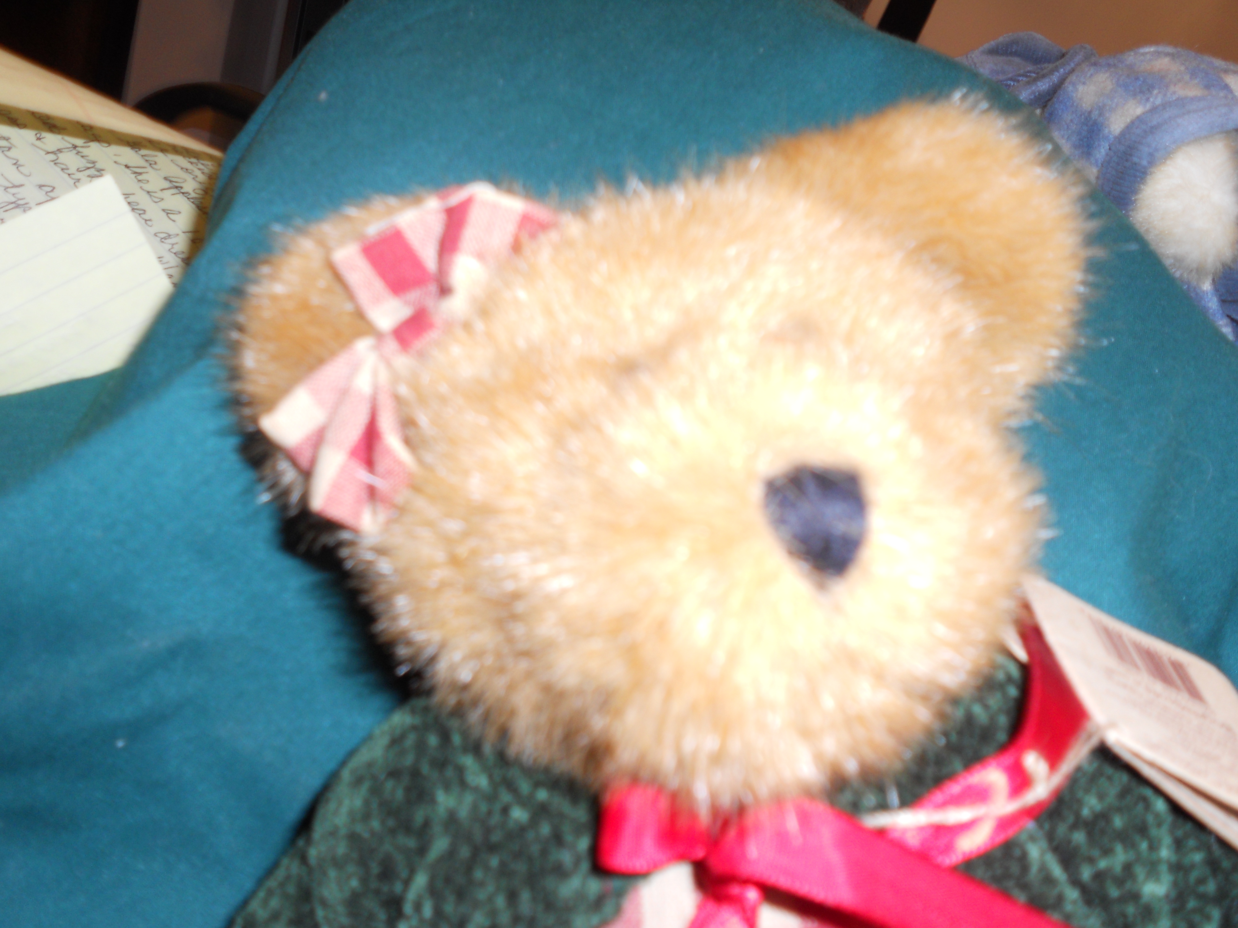 Boyds Bear Gala Applesmith T J Best Dressed