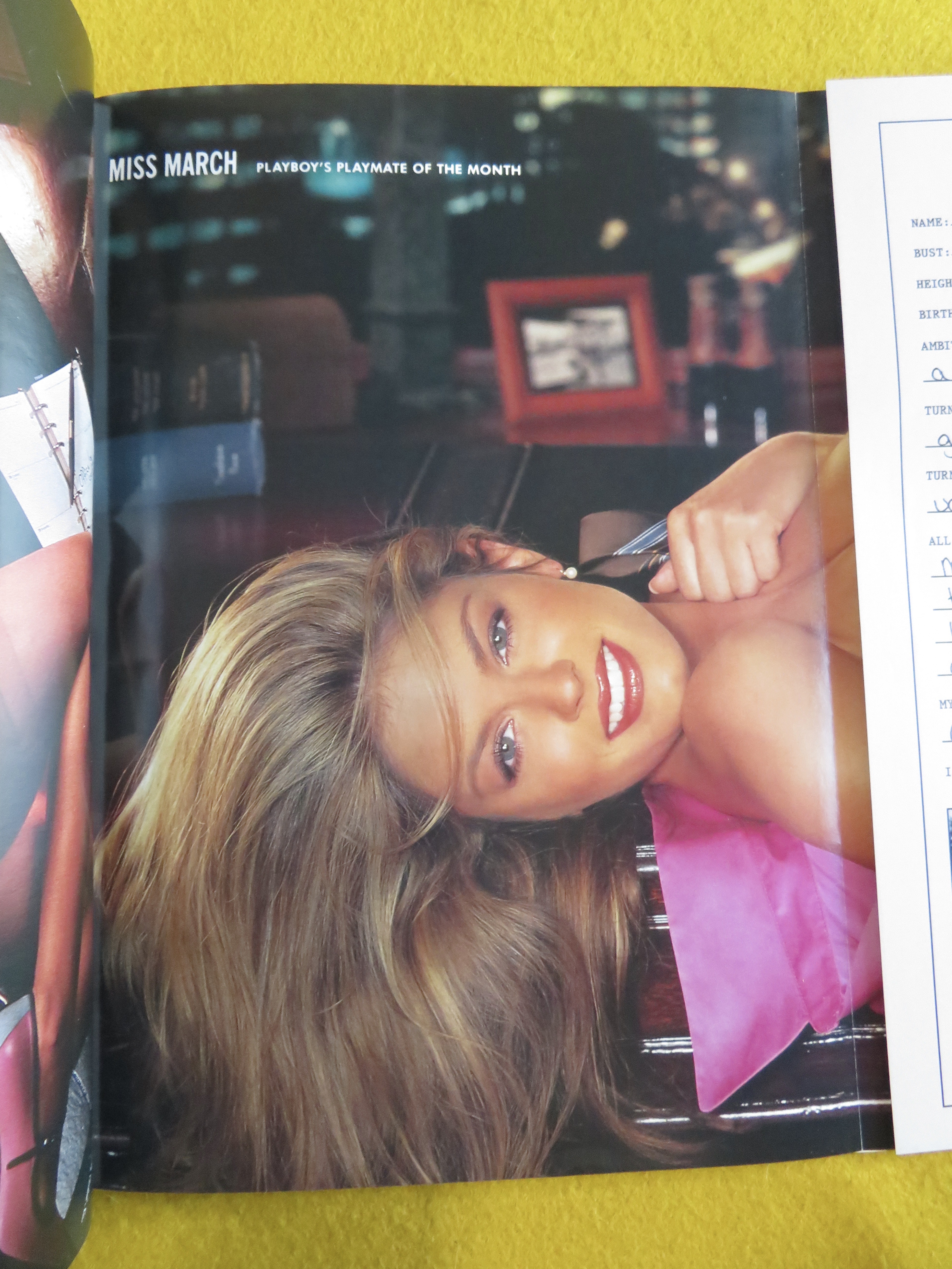 Playboy Magazine March 2004 Sandra Hubby/Torrie/Sable