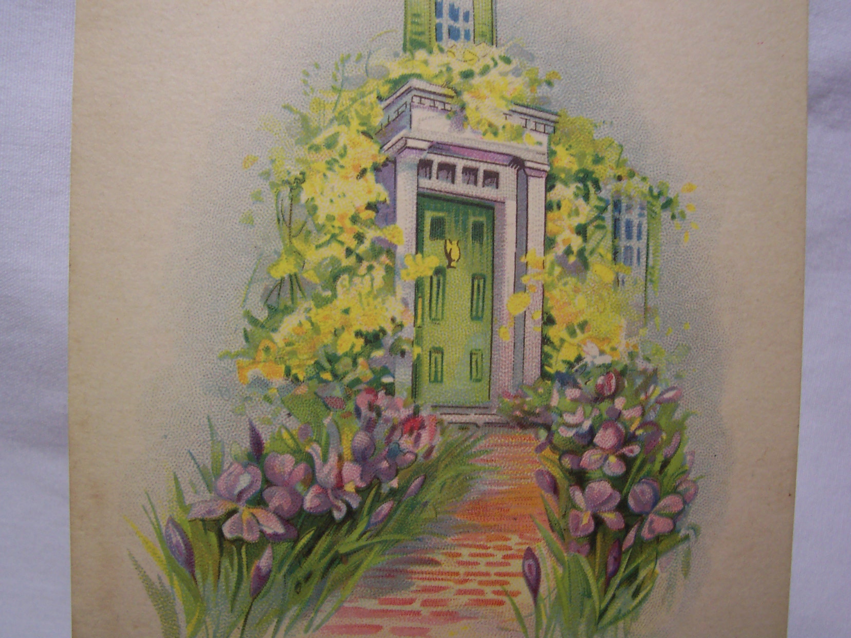 Birthday Greeting Post Card, U.S.A.