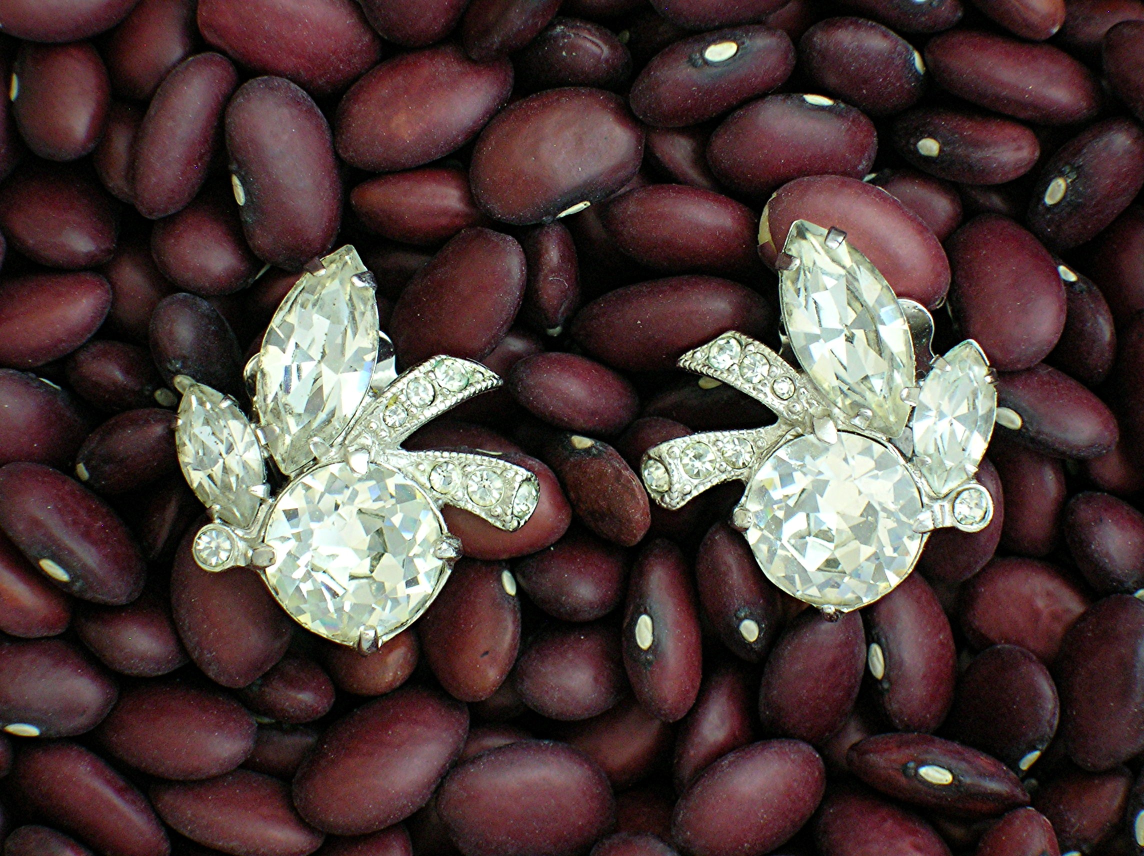 EISENBERG Crystal Clip Earrings