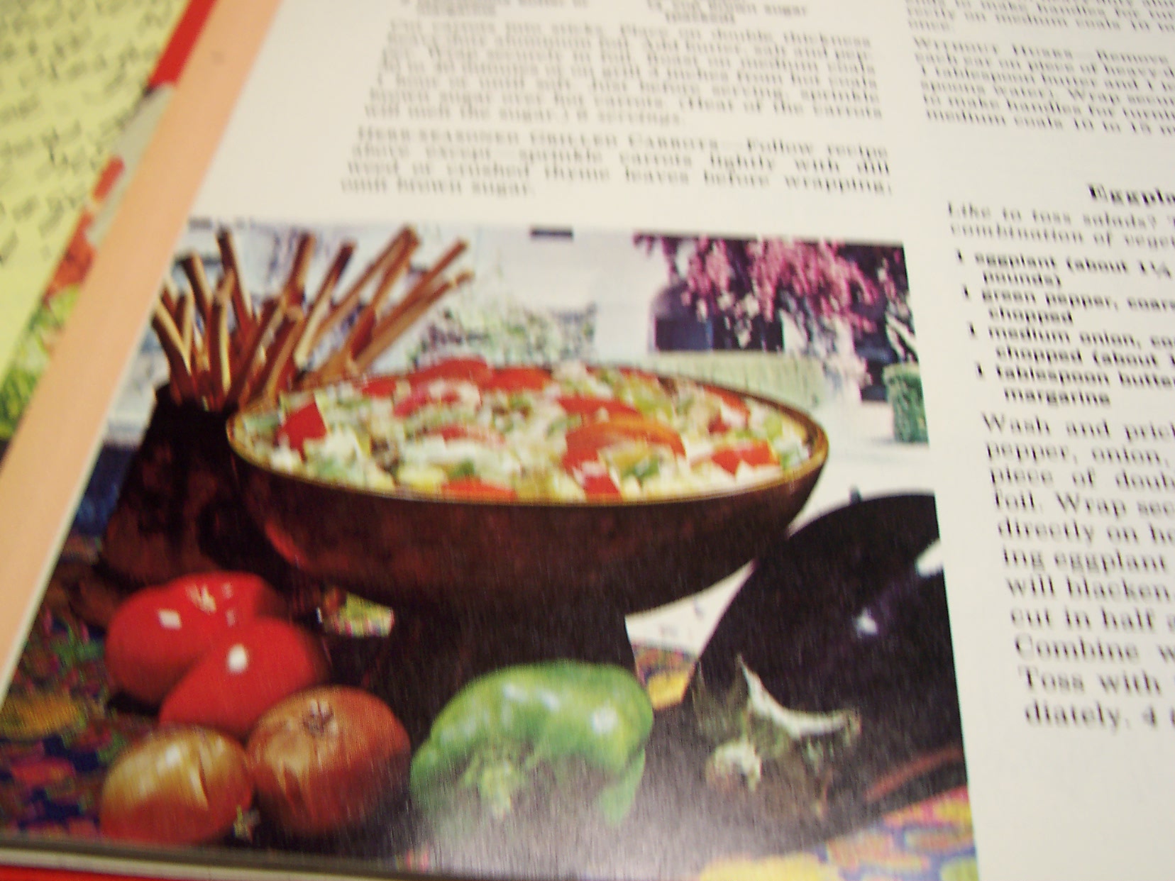 Betty Crocker's Outdoor Cookbook Barbecues