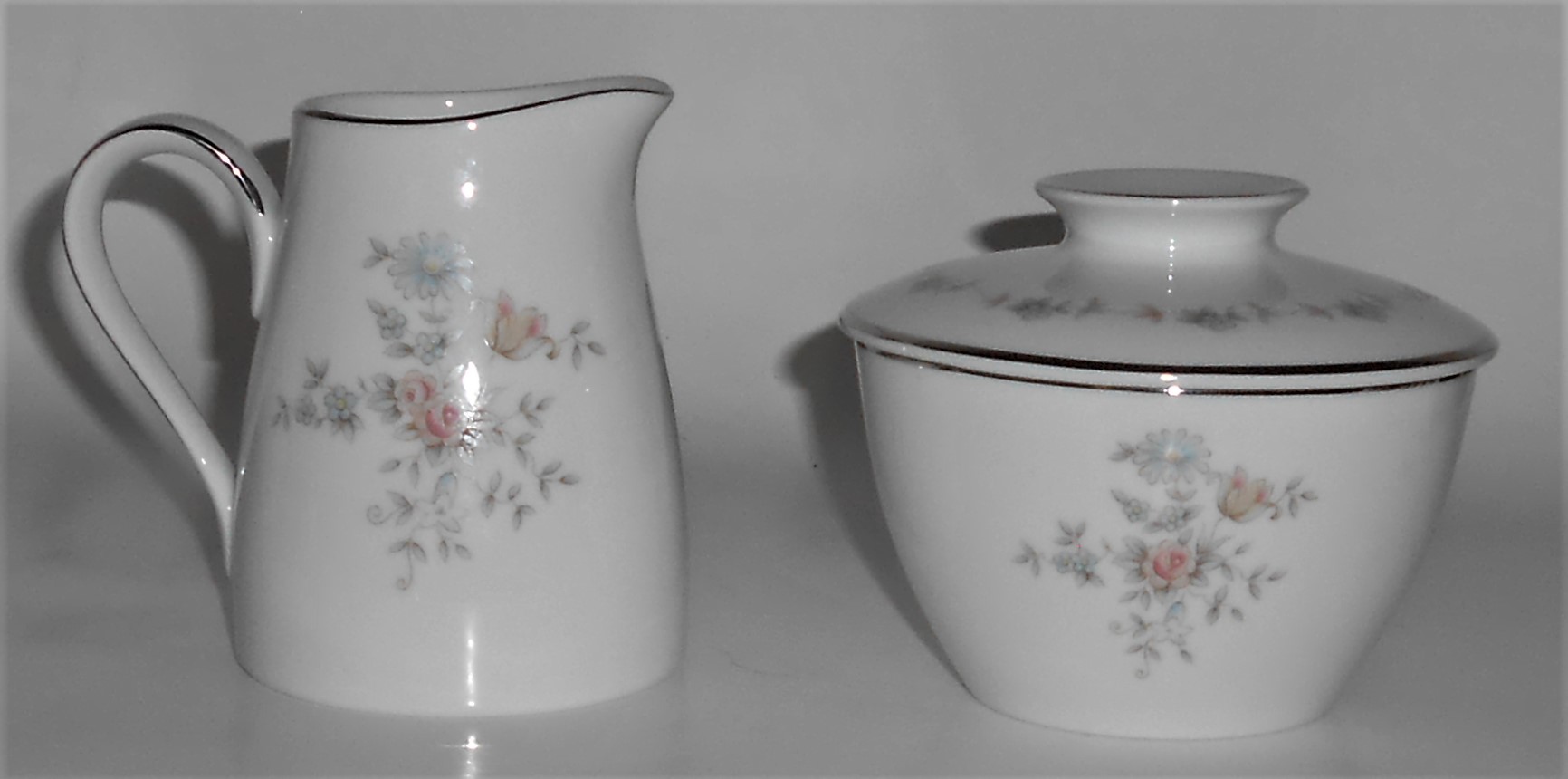 Noritake Porcelain China 6242 Susanna w/Platinum Cream