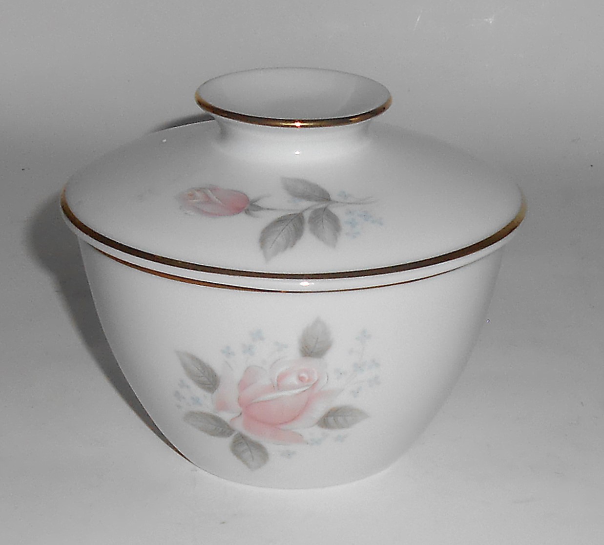 Noritake Porcelain China Roseville 6238 w/Platinum Sug