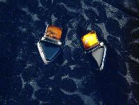 Baltic Amber Sterling Silver Onyx Clip Earrings