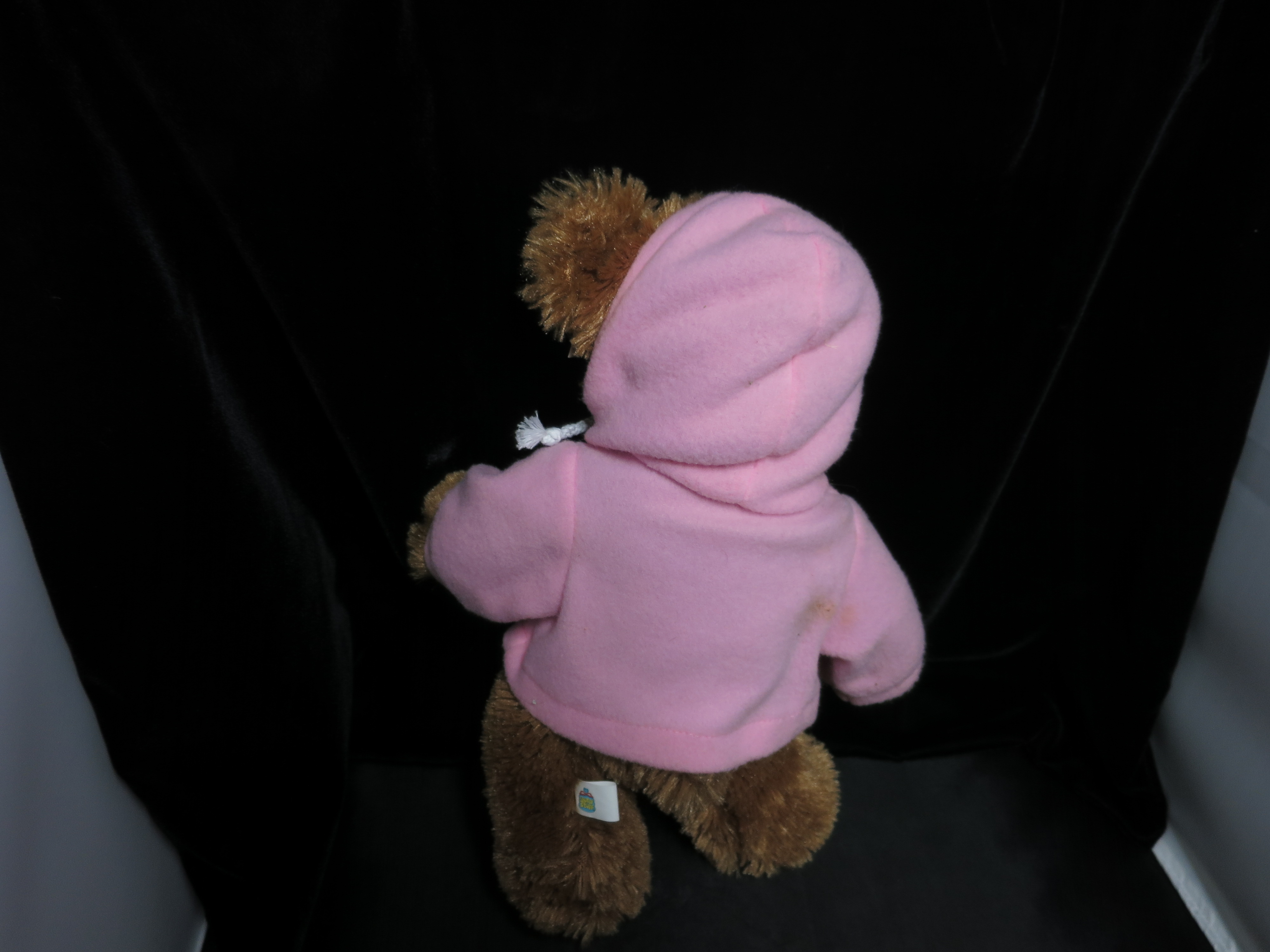 NFL Giants Teddy Bear Pink Hoodie Good Stuff 15 inch