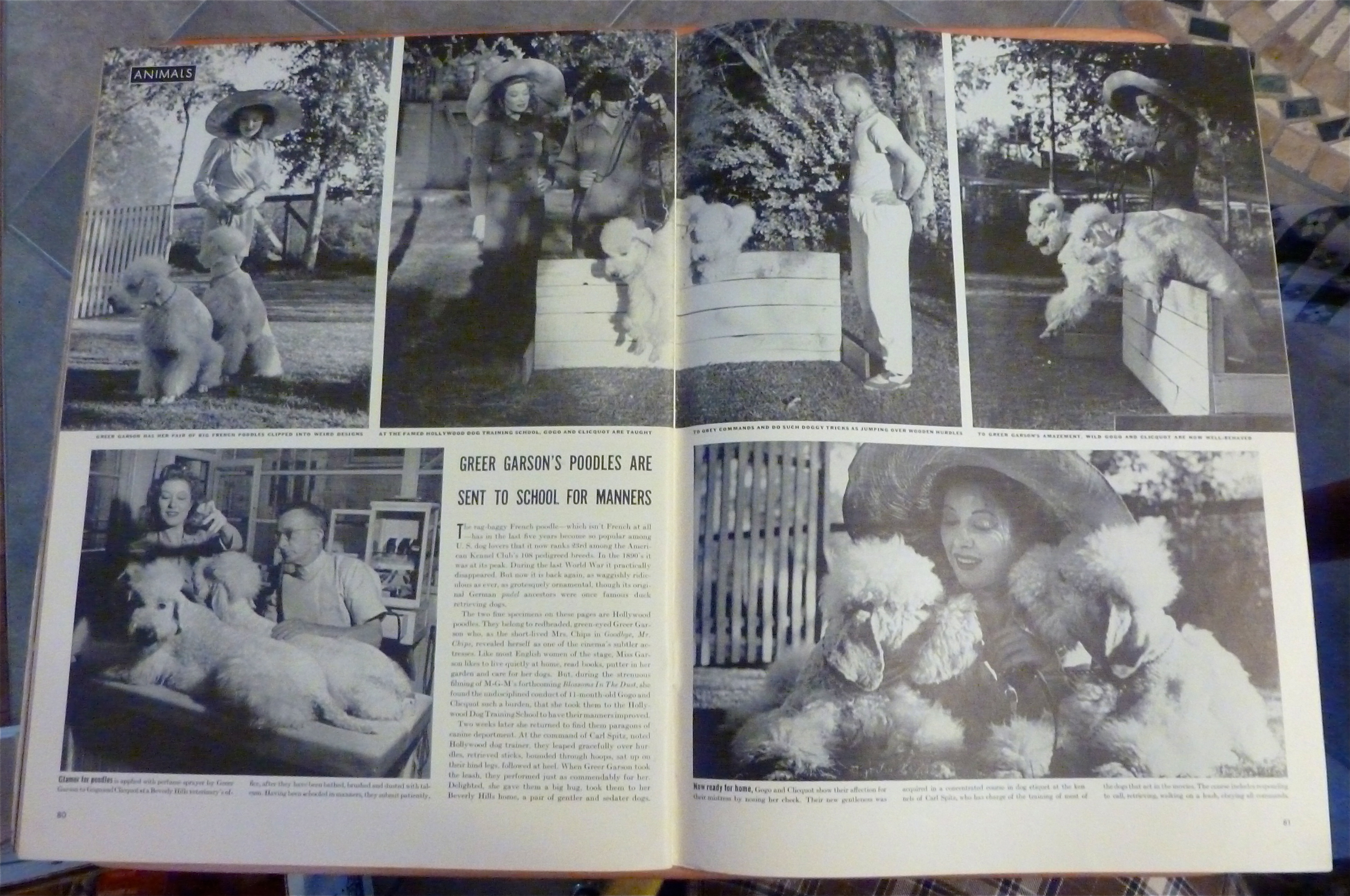 Life Magazine-June 23, 1941-Lazy Fishing