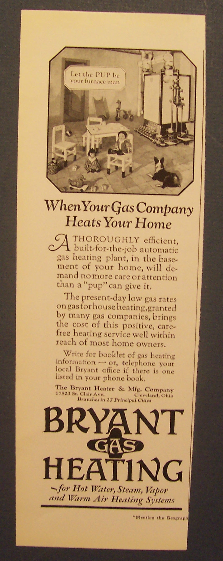 1926 Bryant Gas Heating with a Dog Looking at Furnace