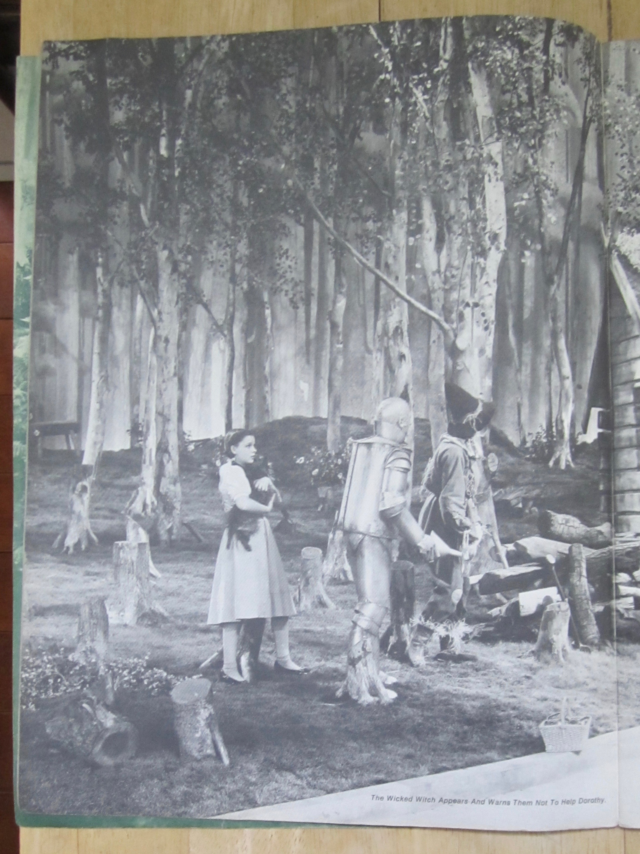 Sheet Music Book of 1972 The Wizard Of Oz