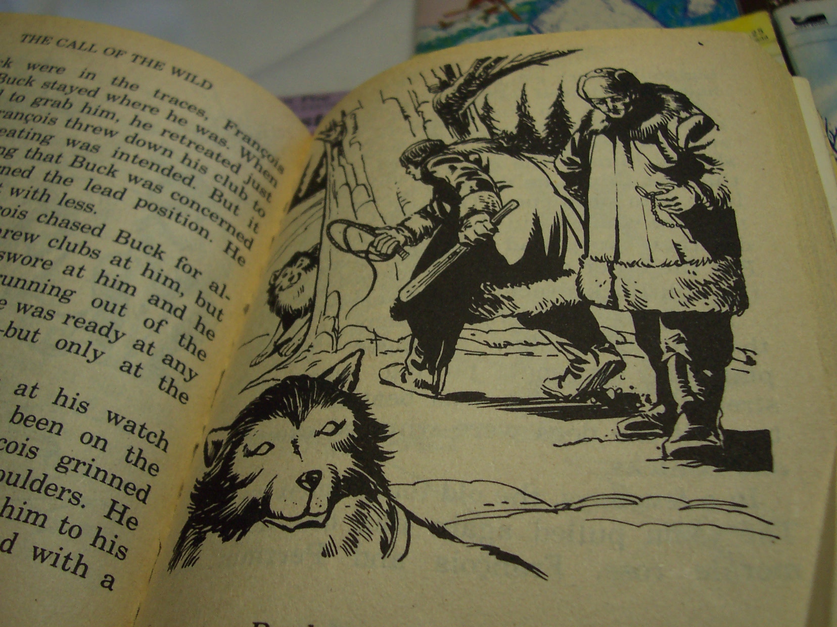 Classics Books Set of 12 Different
