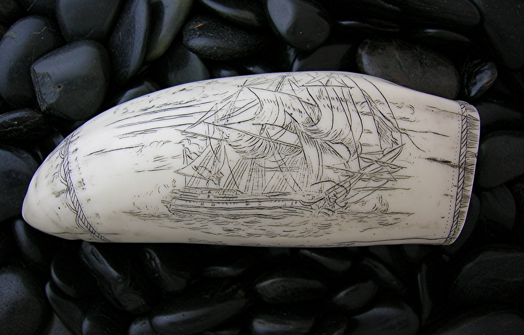 Resin Repro Ivory Scrimshaw Carving The Brandenberg
