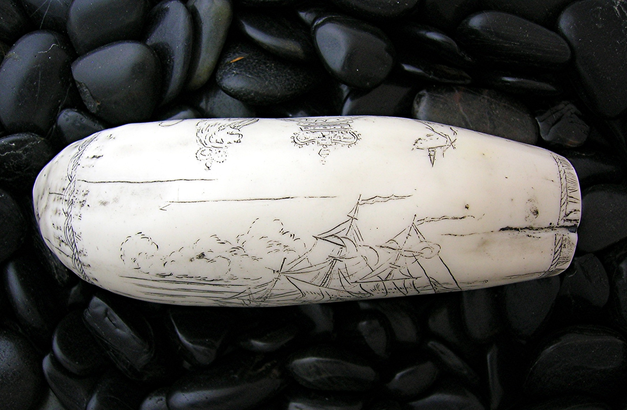 Resin Repro Ivory Scrimshaw Carving The Brandenberg