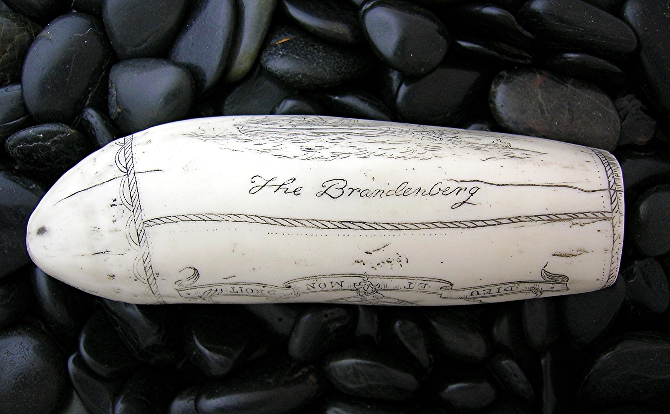 Resin Repro Ivory Scrimshaw Carving The Brandenberg